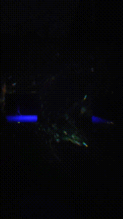 bloggif_6207d51abe437.gif