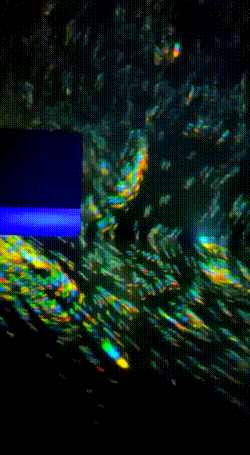 bloggif_6207f117edc19.gif