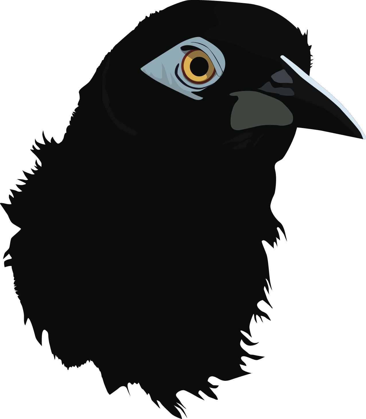 turpial3.png