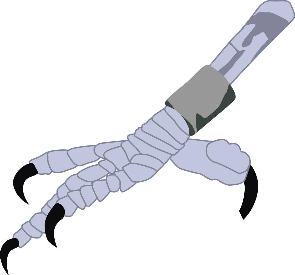 turpial4.png