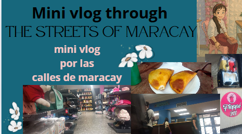 vlog17.PNG