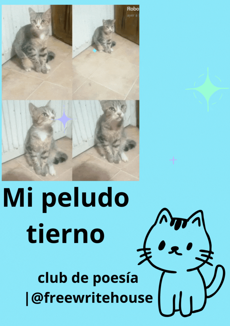 COMIC.gif