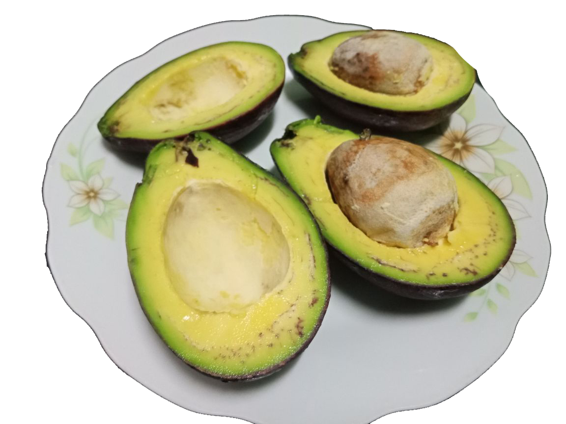 IMG20230701203033.png
