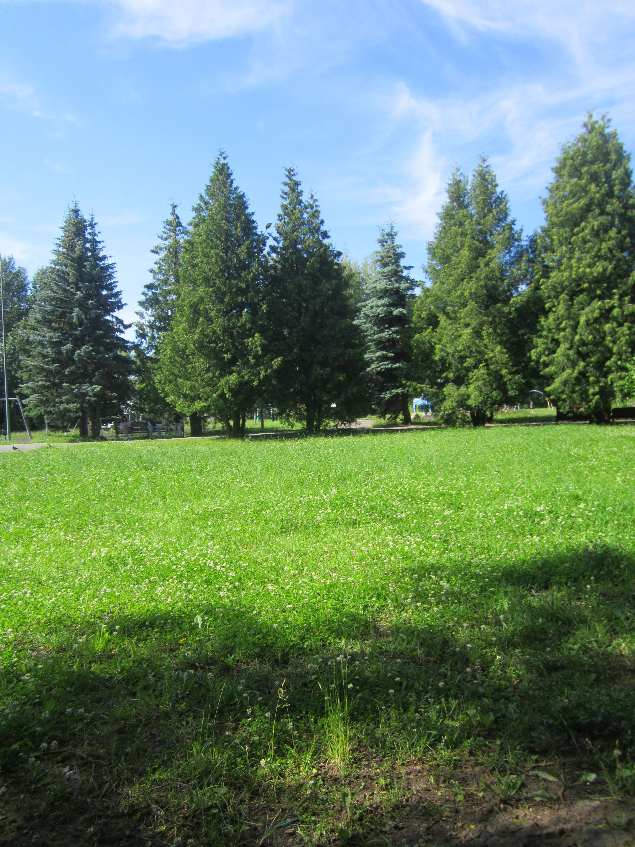 IMG_7514.JPG