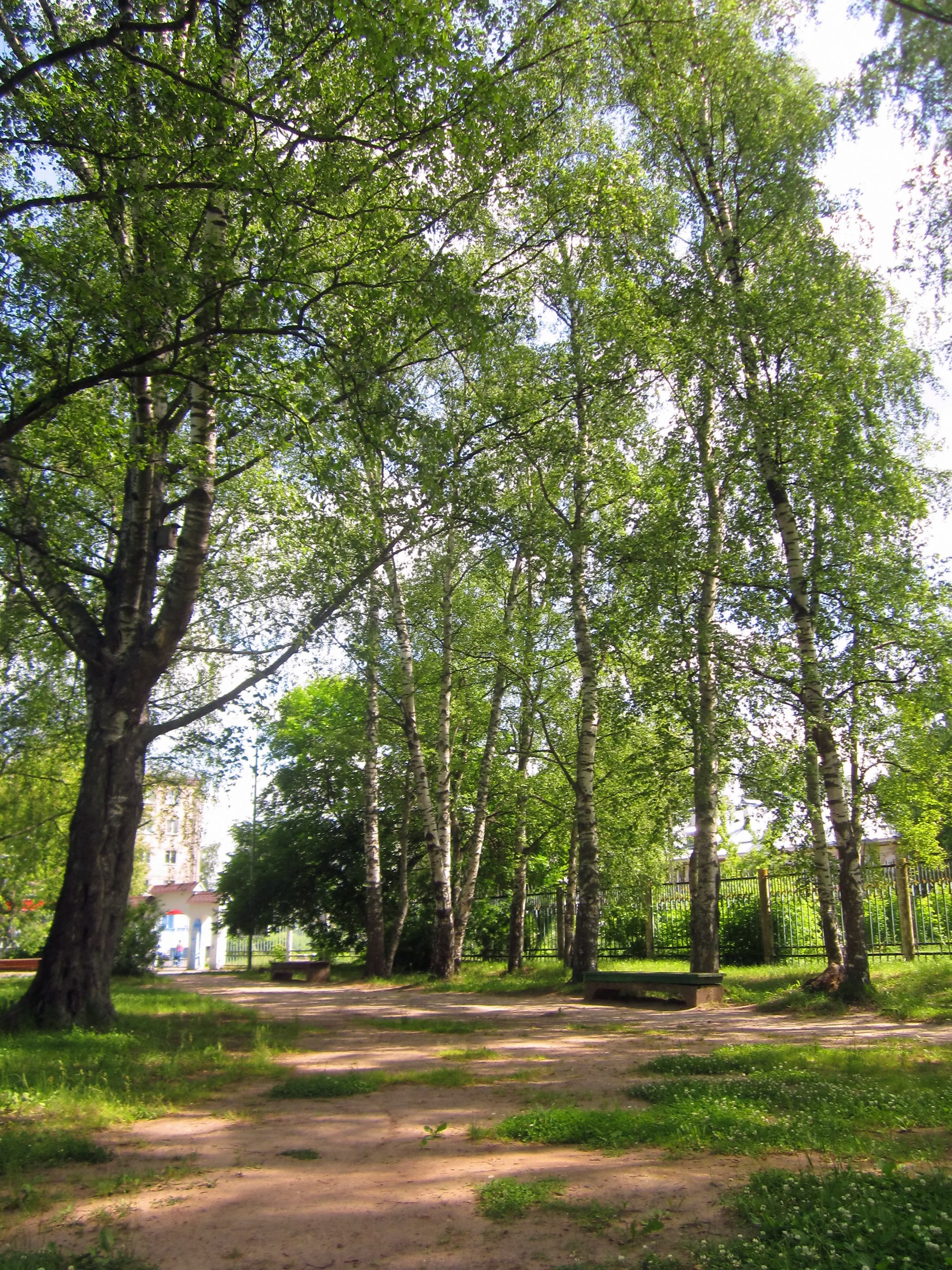 IMG_6915ы.jpg