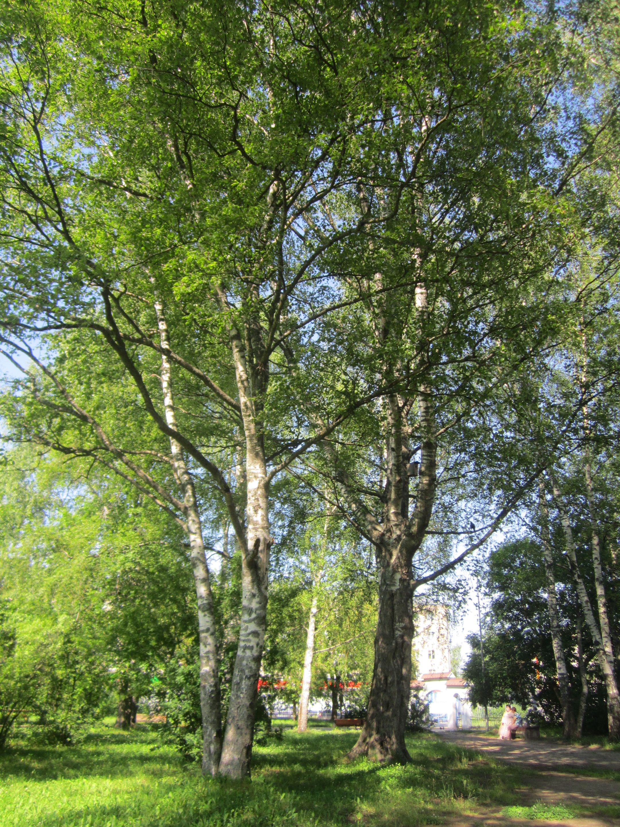 IMG_7673.JPG