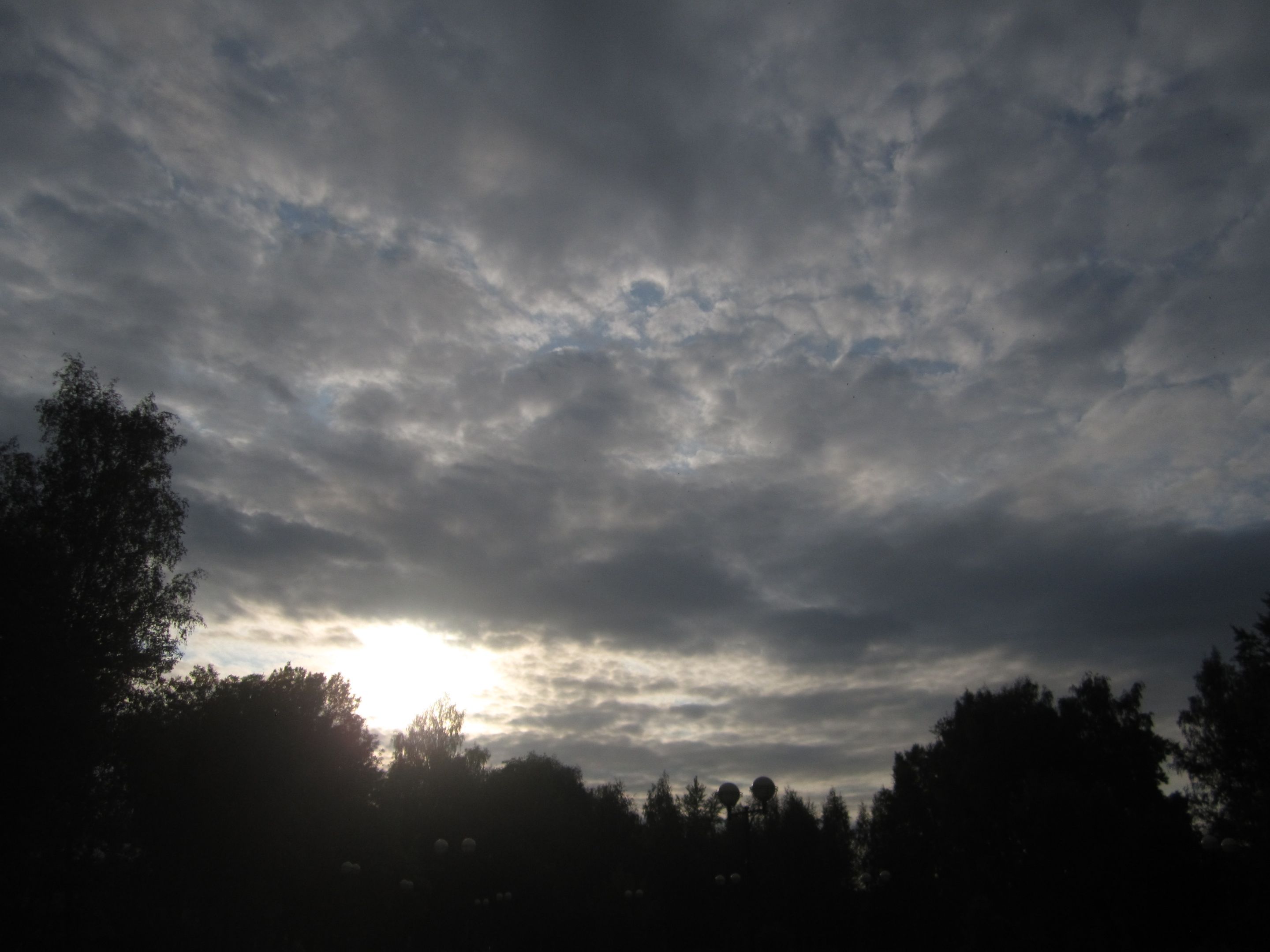 IMG_6620.JPG