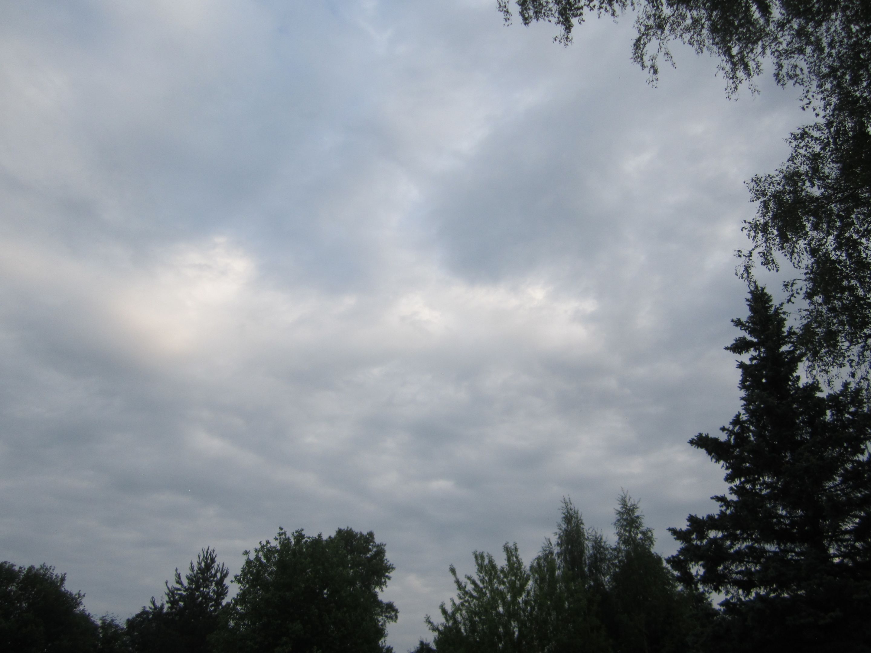 IMG_6550.JPG