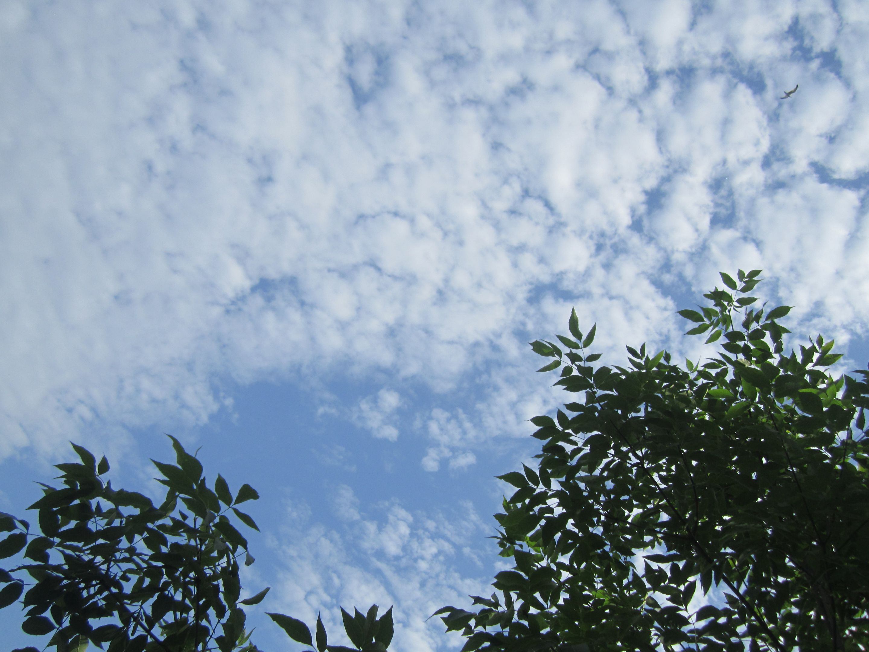 IMG_7873.JPG