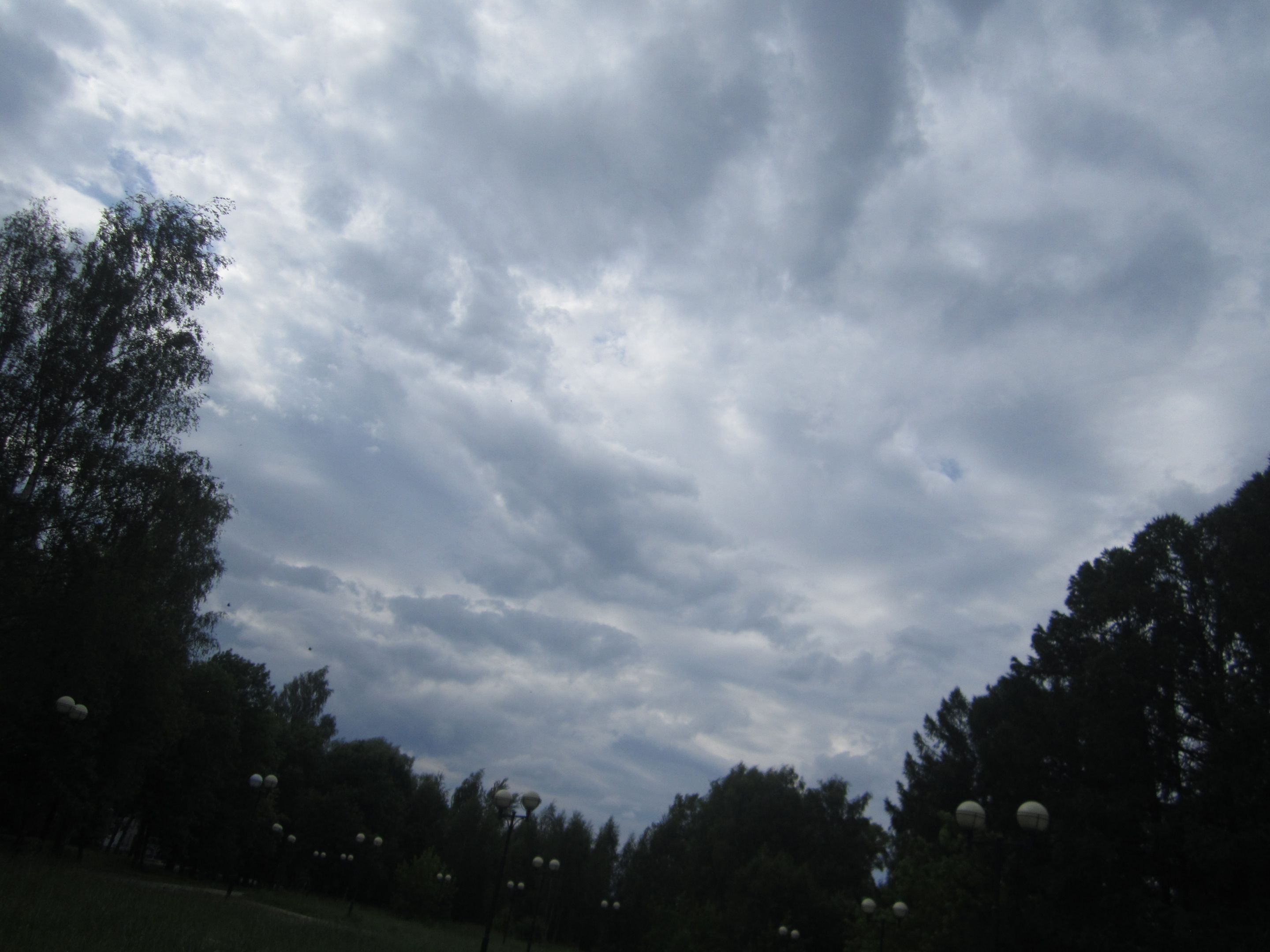 IMG_6998.JPG
