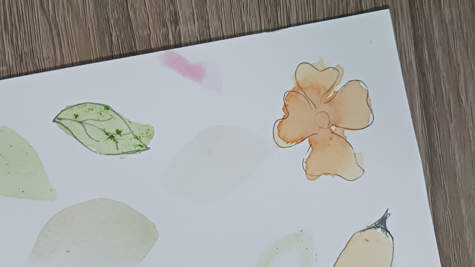 Coloring with Nature (5).png