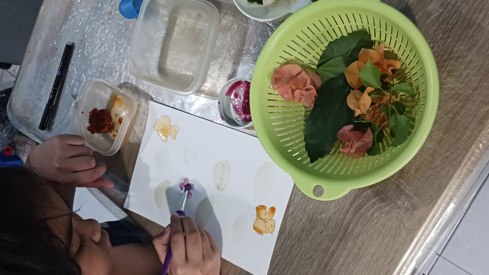 Coloring with Nature (2).png