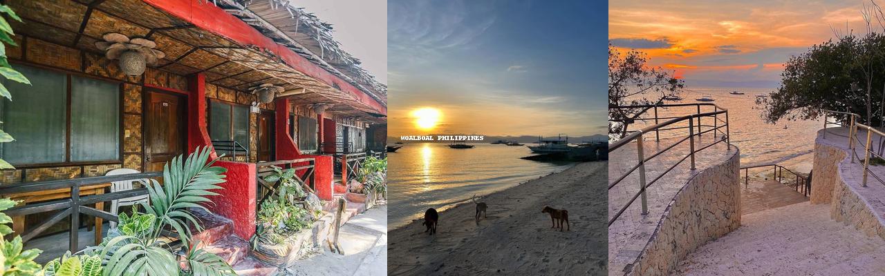 🌅🦞 Sunset, Seafood, and Slight Chaos – My Moalboal POV 🌊🍤