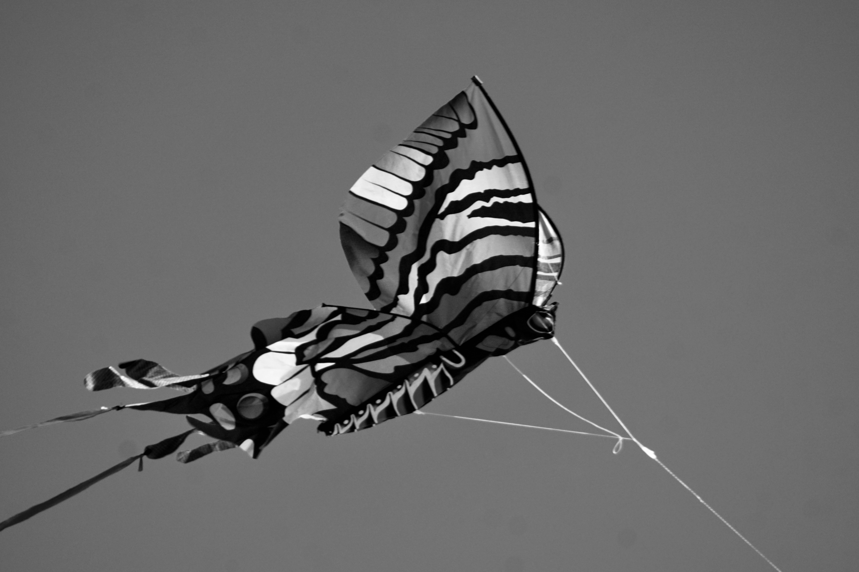 DSC09027 2.JPG