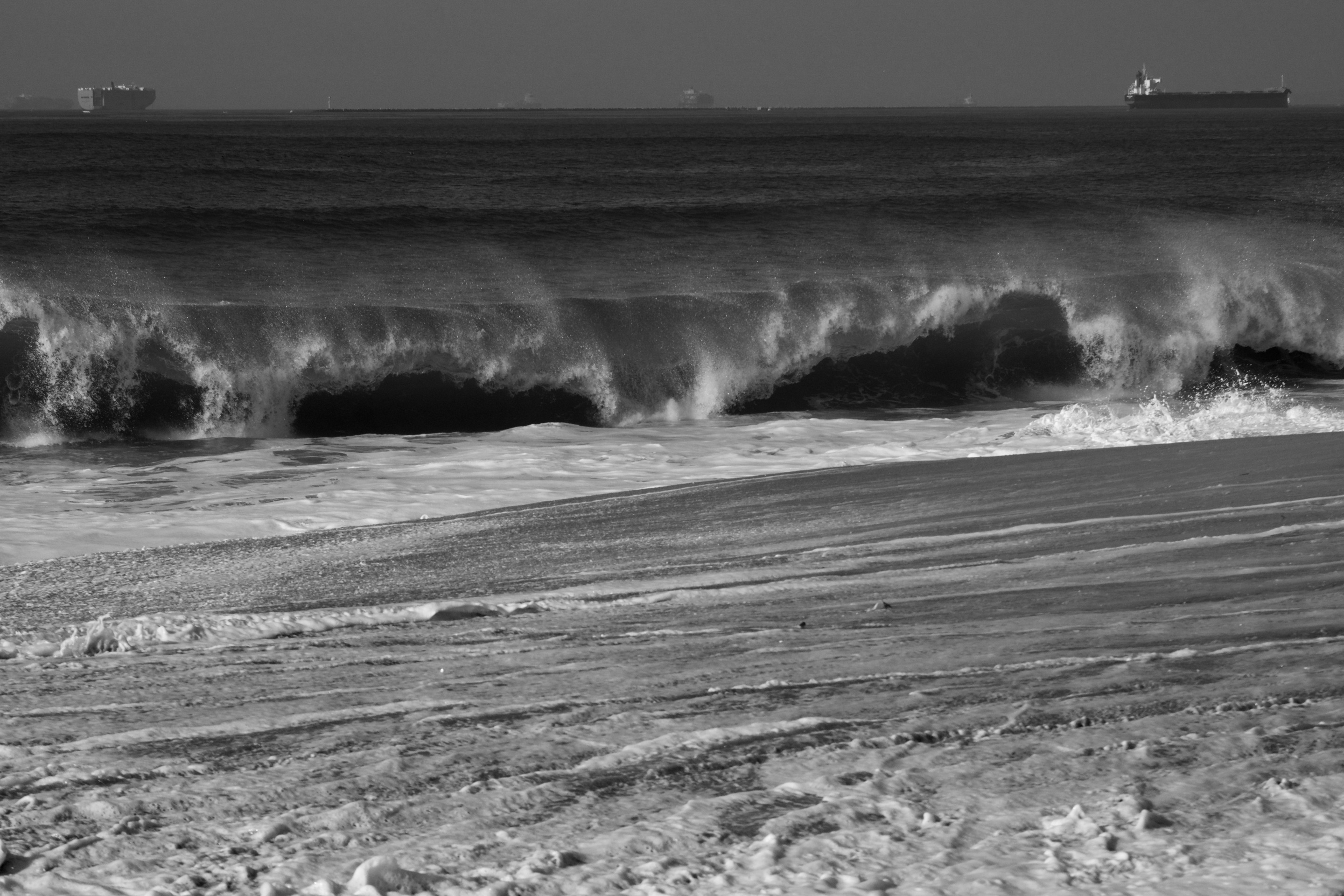 _DSC1851.jpeg