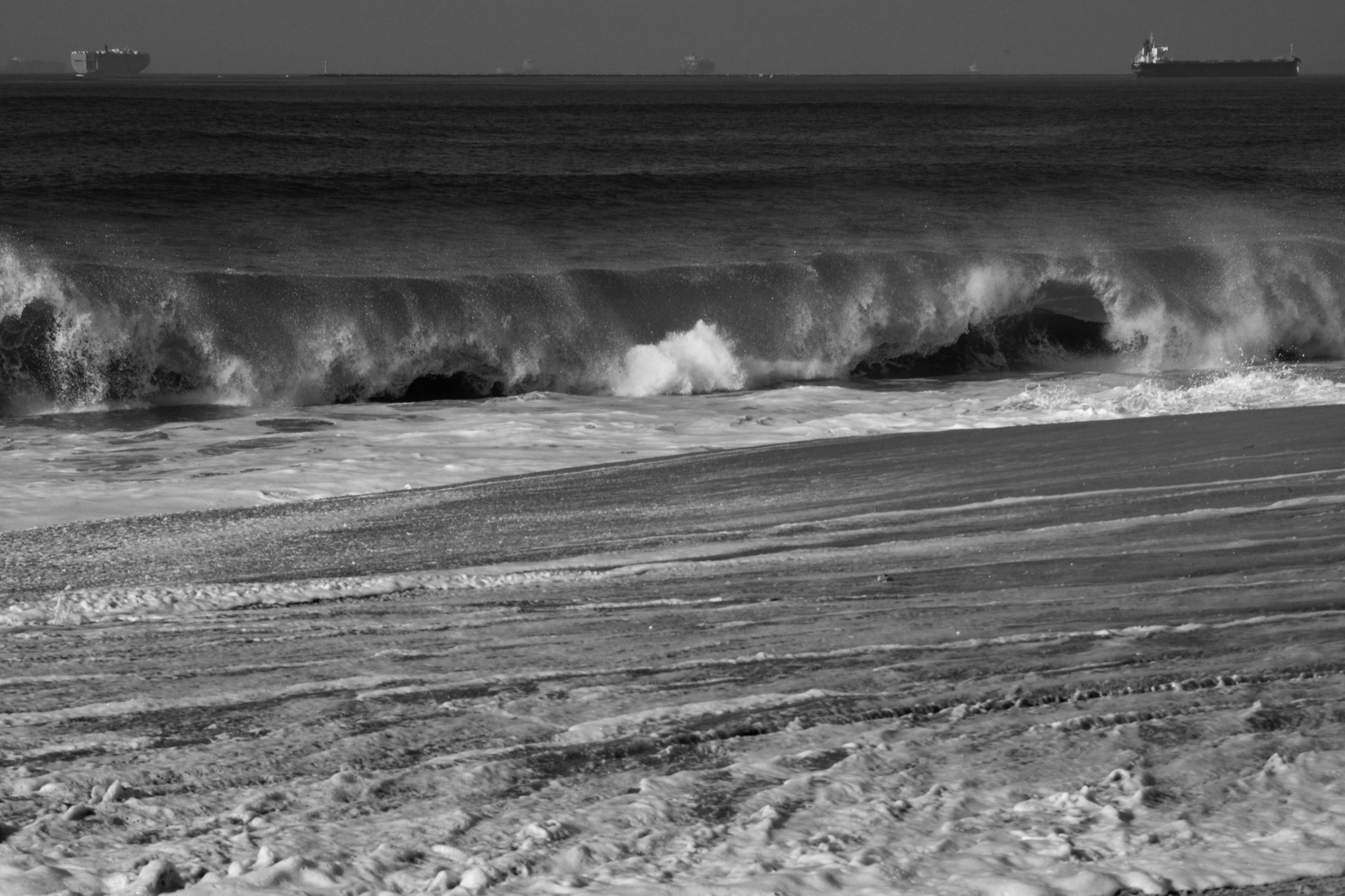 _DSC1852.jpeg