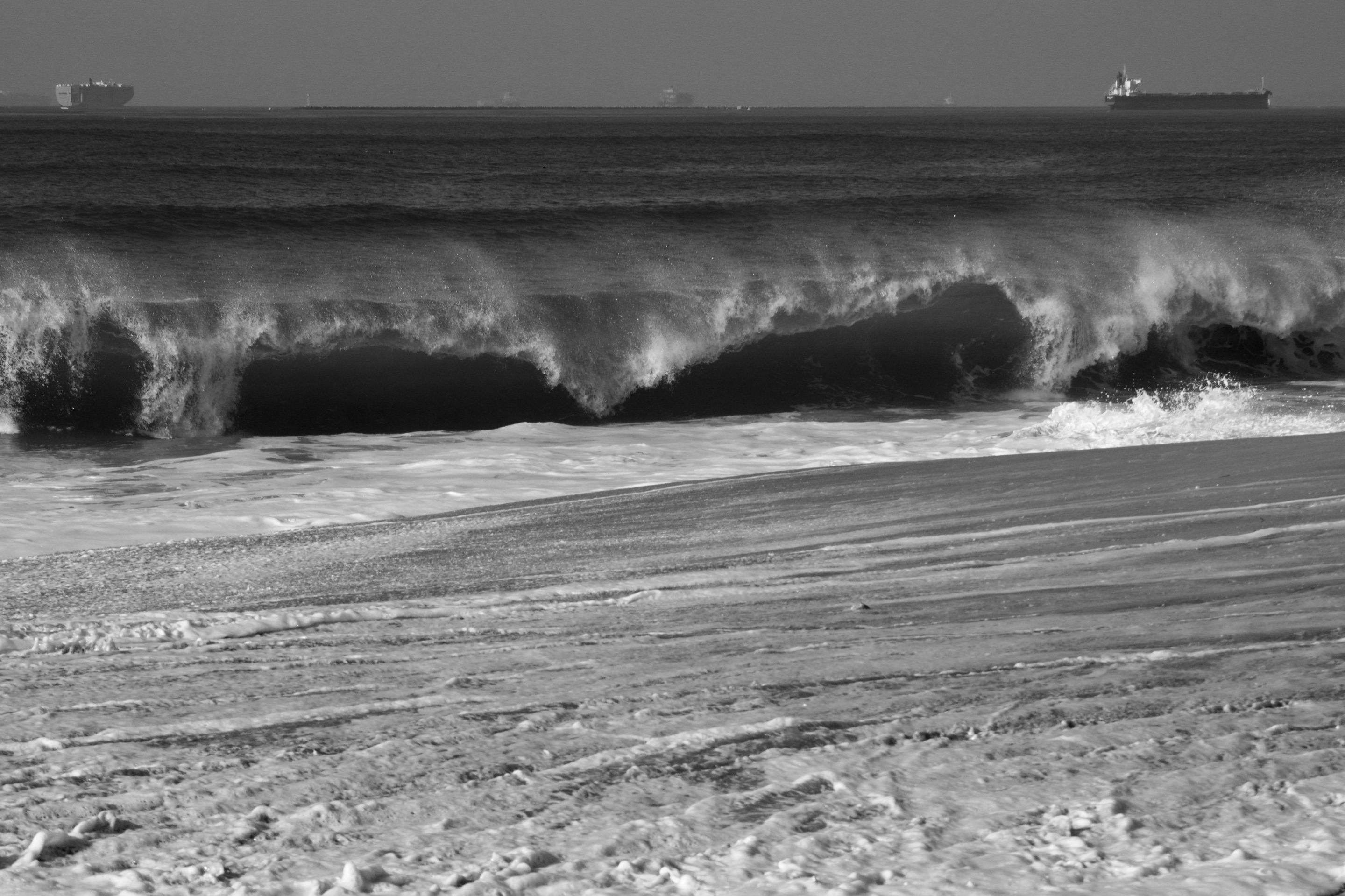 _DSC1850.jpeg