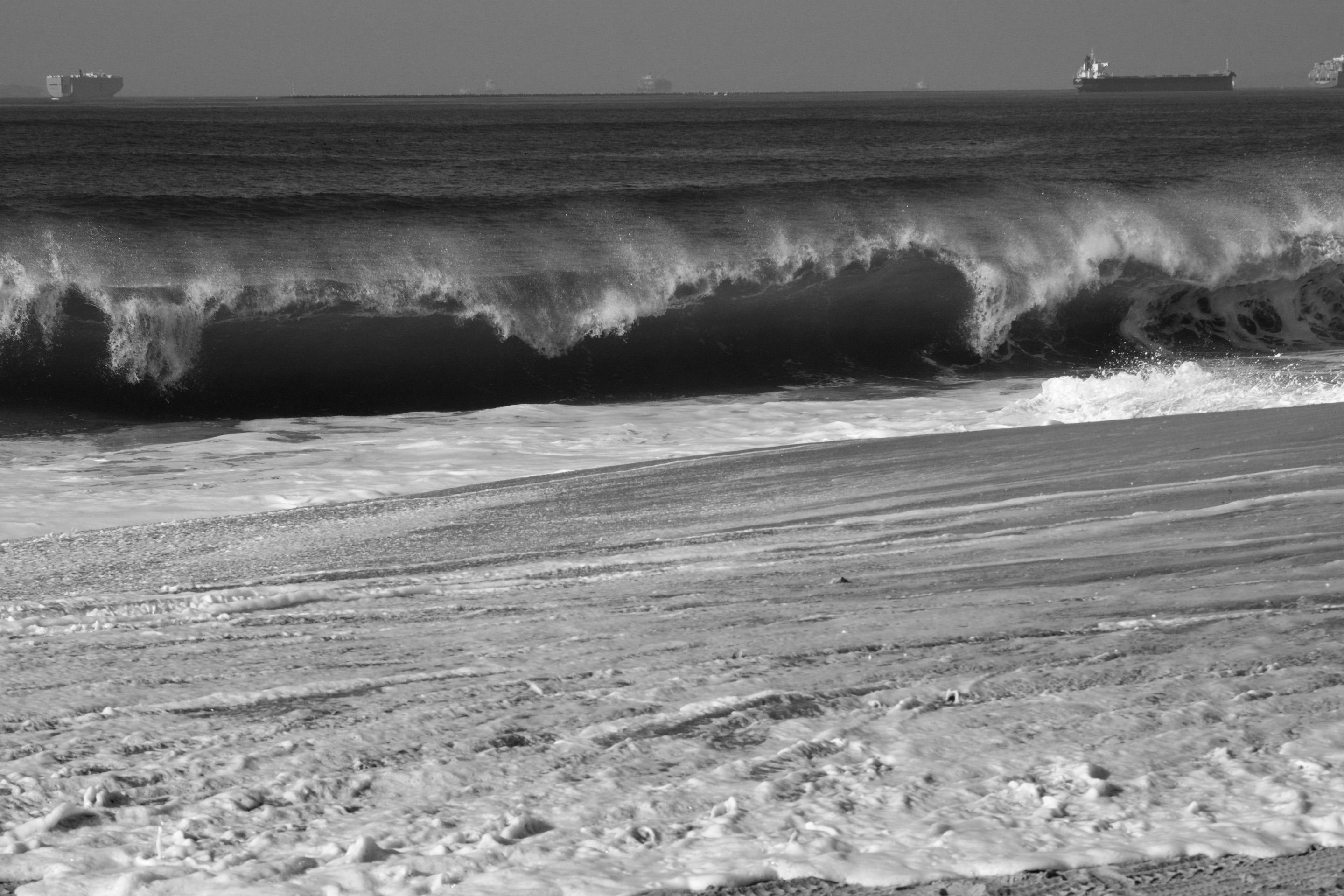 _DSC1849.jpeg