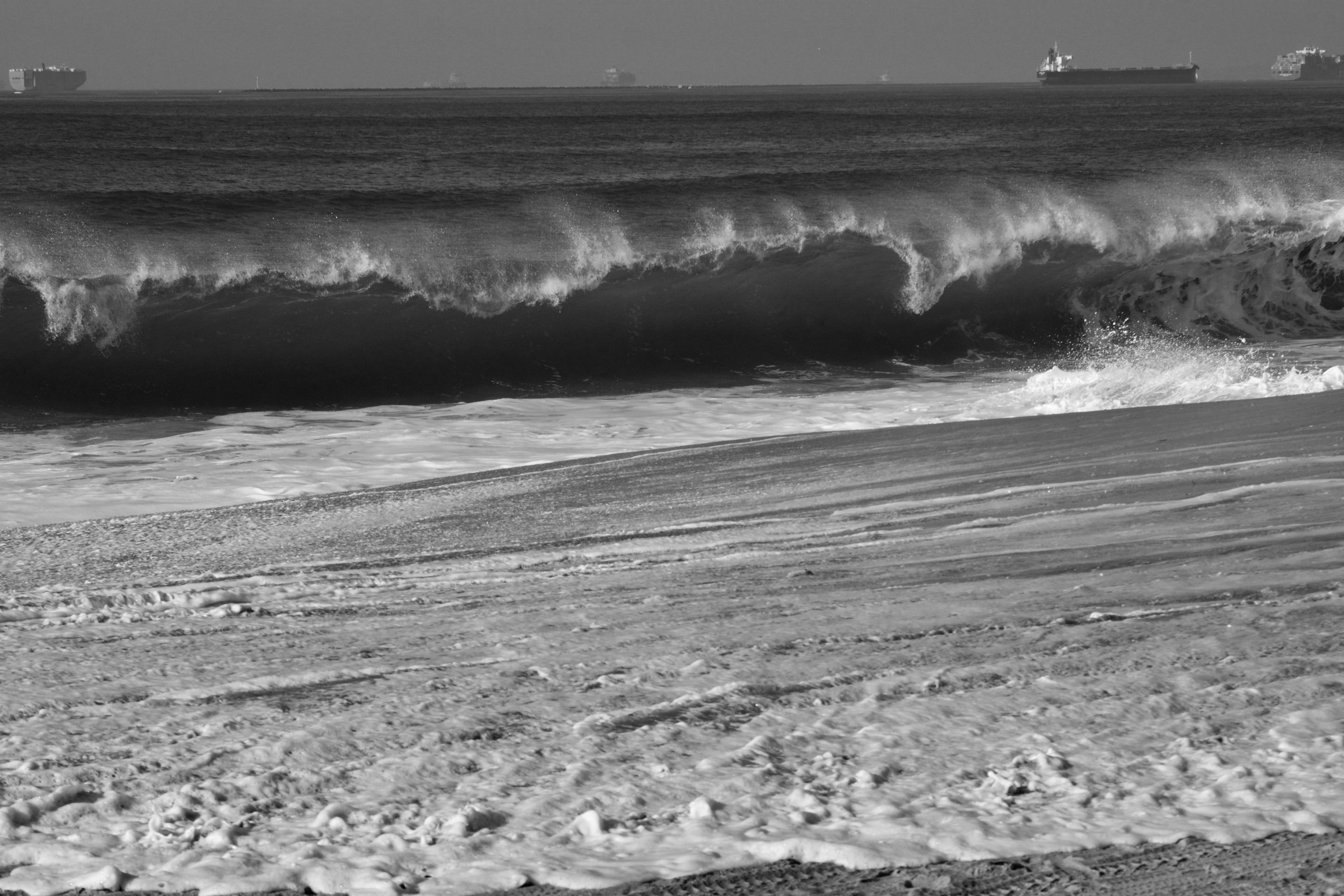 _DSC1848.jpeg