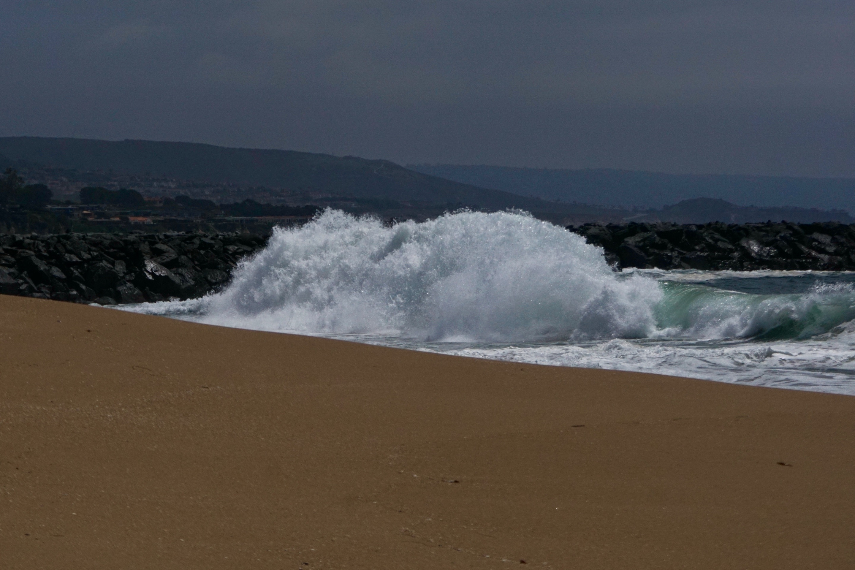 DSC01237.JPG