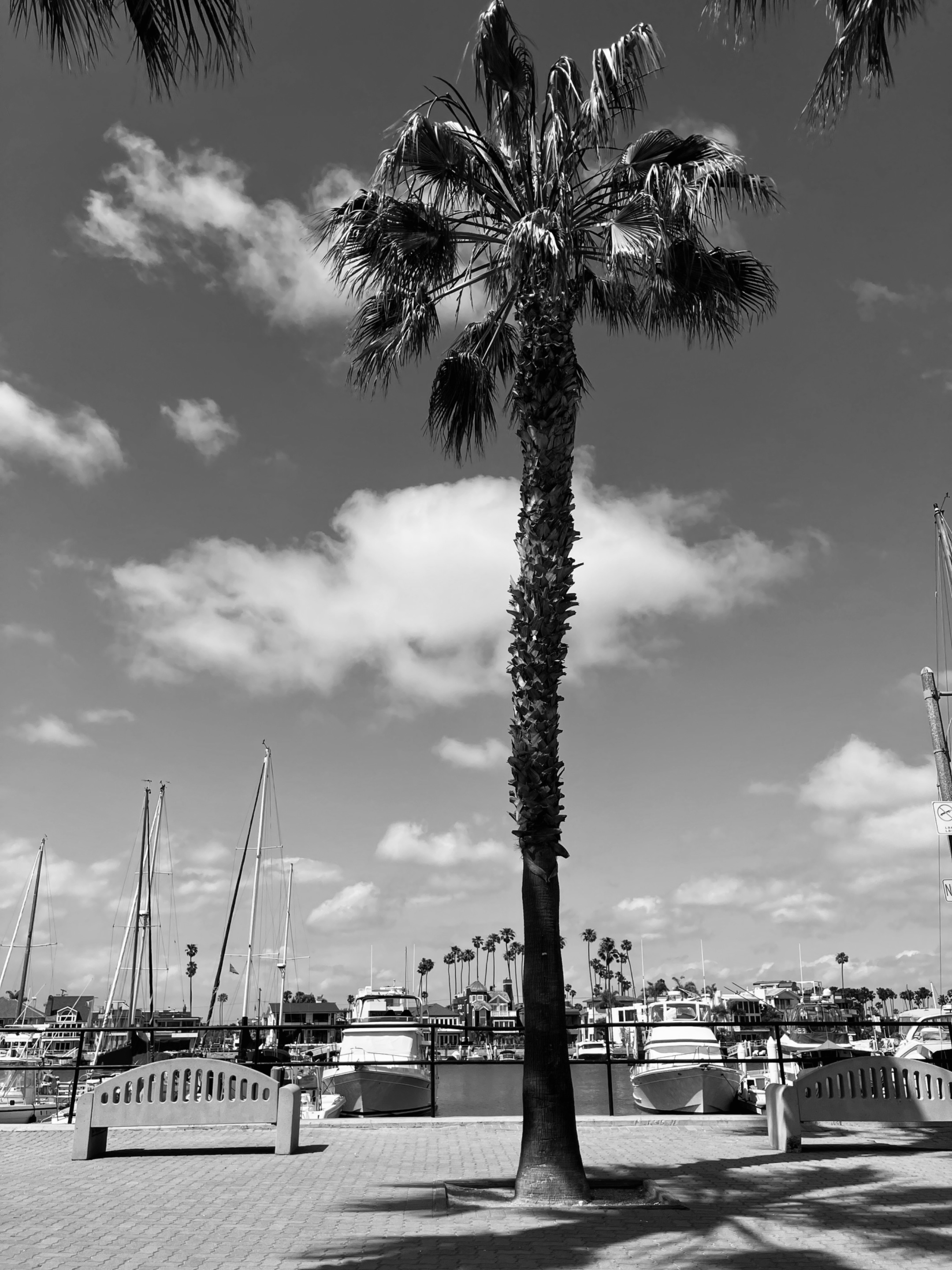 IMG_6813.jpg