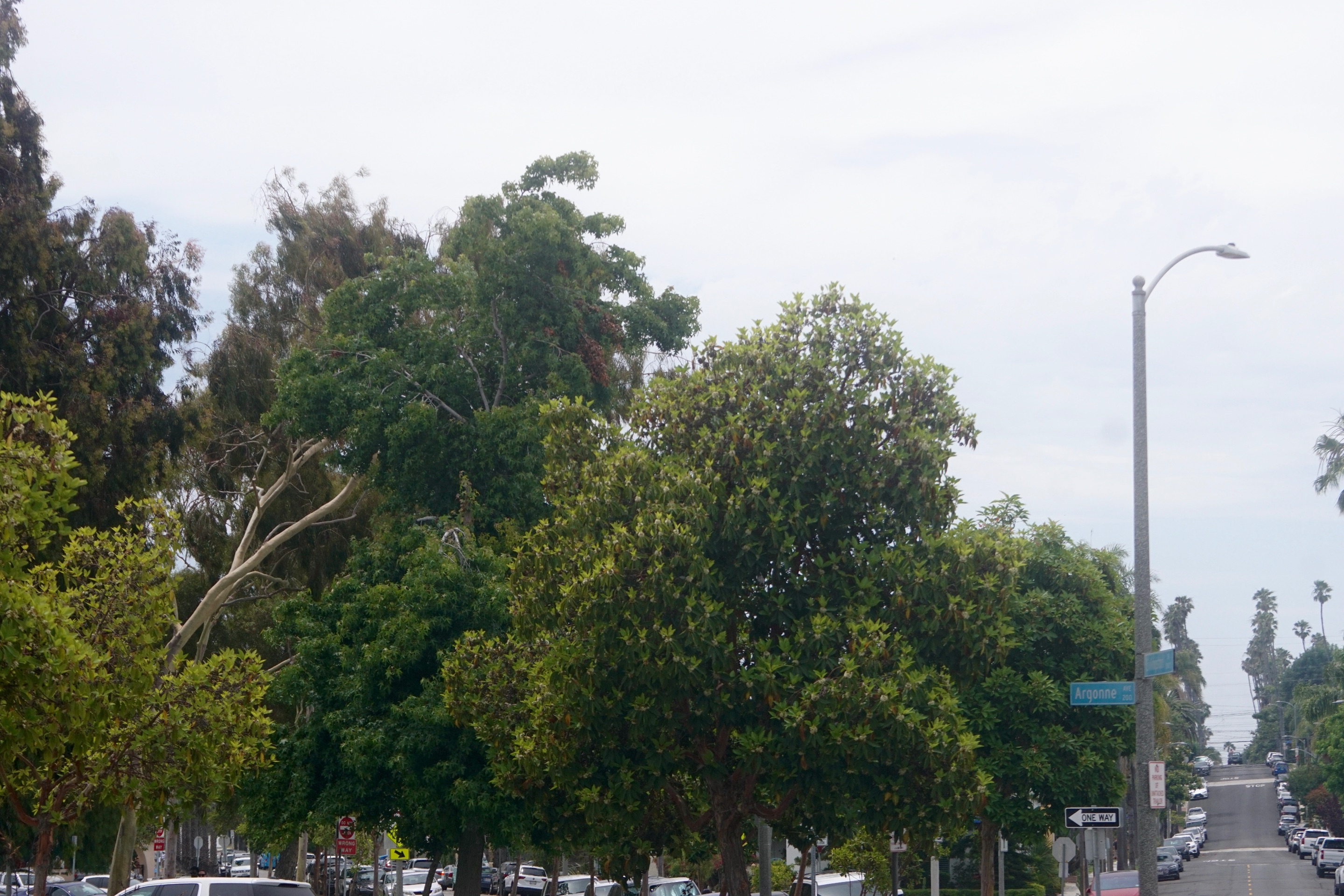 DSC07569.JPG
