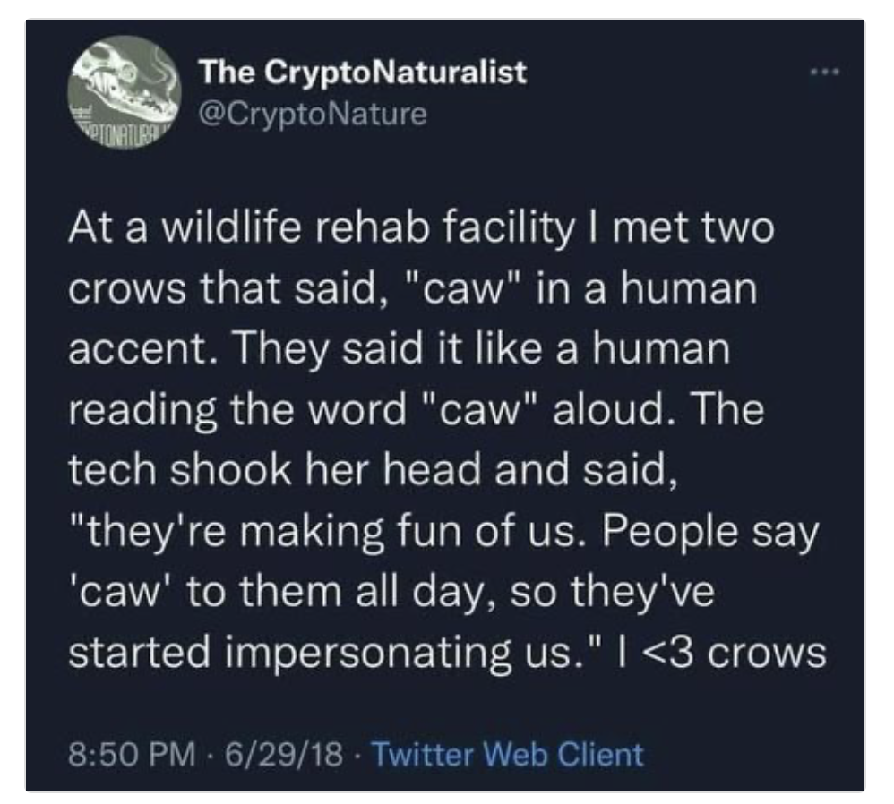 Screenshot 2025-11-01 at 3.01.14 AM.png