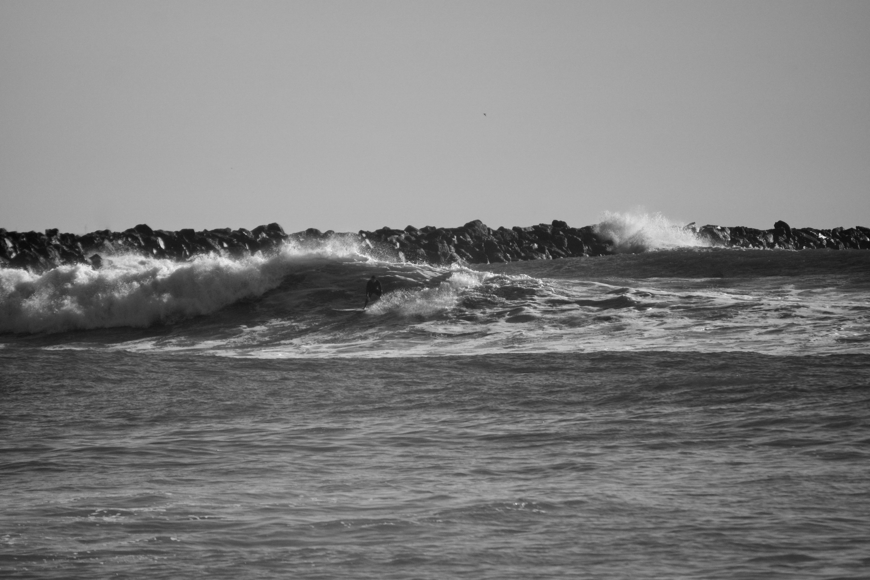 DSC00400.jpeg