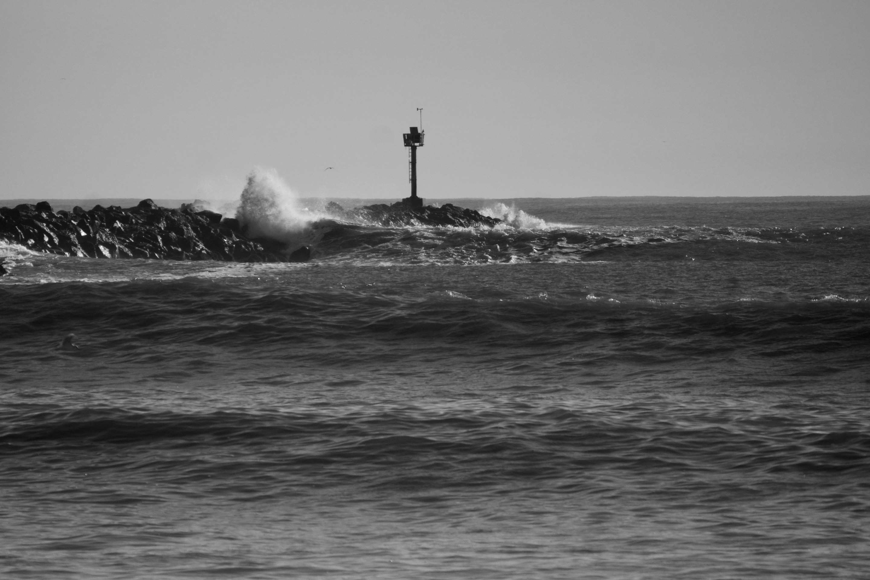 DSC00212.jpeg