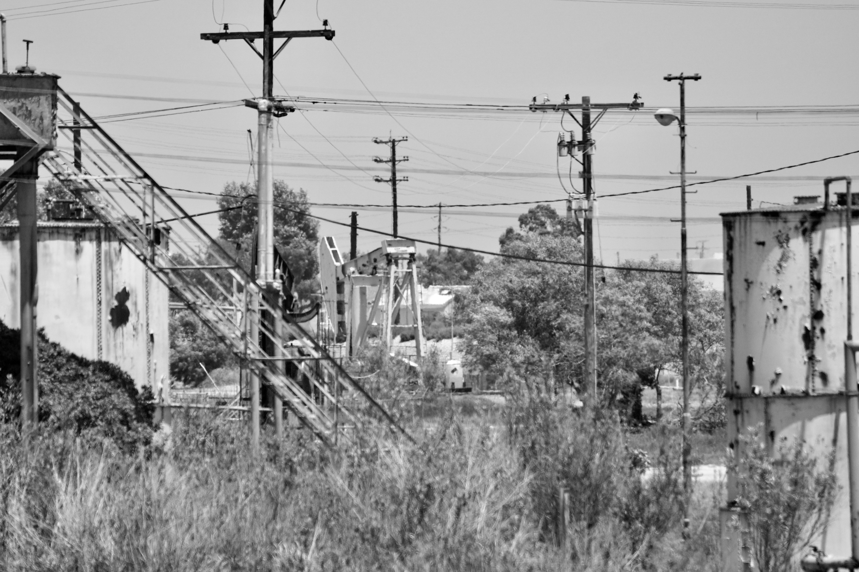 DSC01542.jpeg