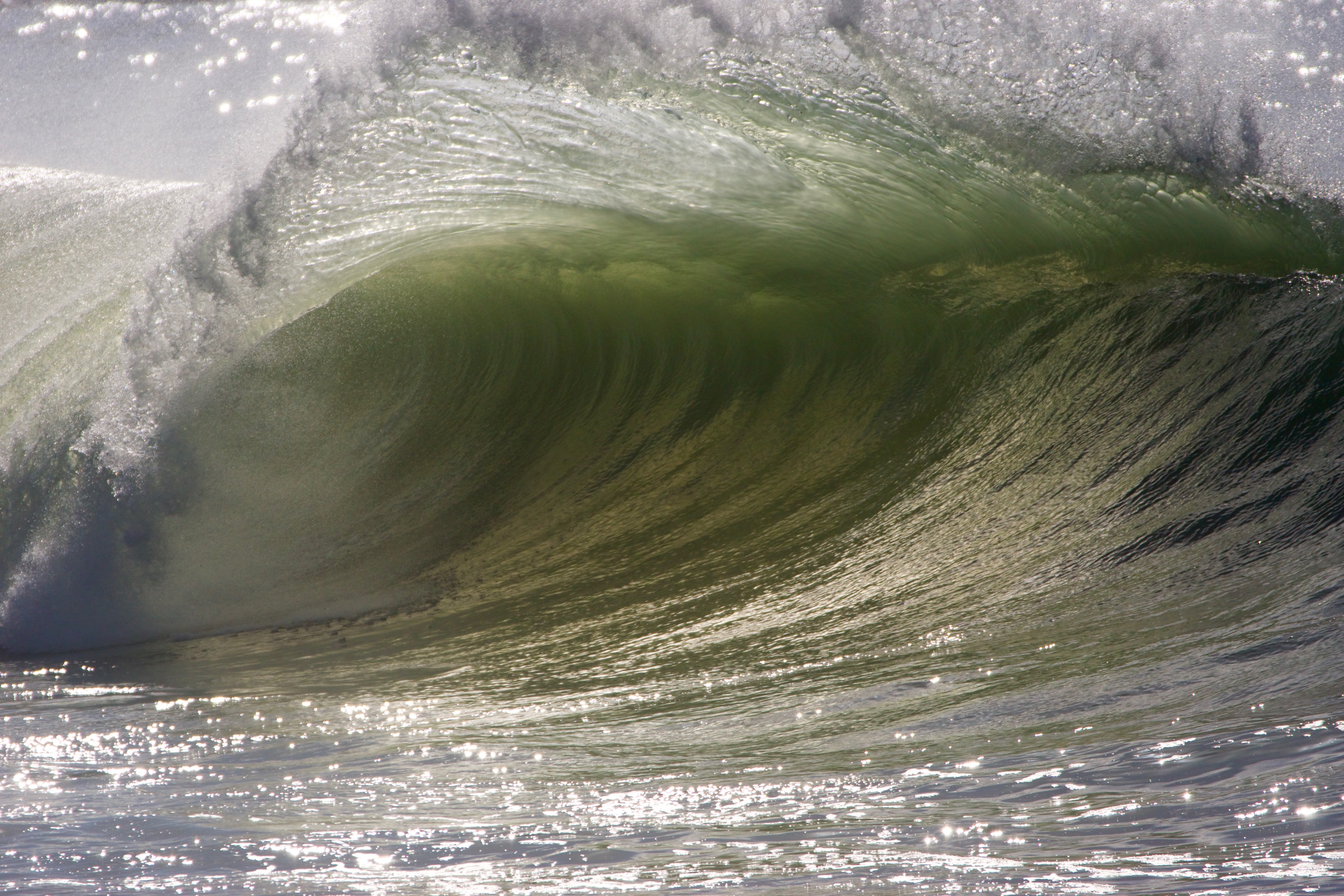 DSC09418.jpeg