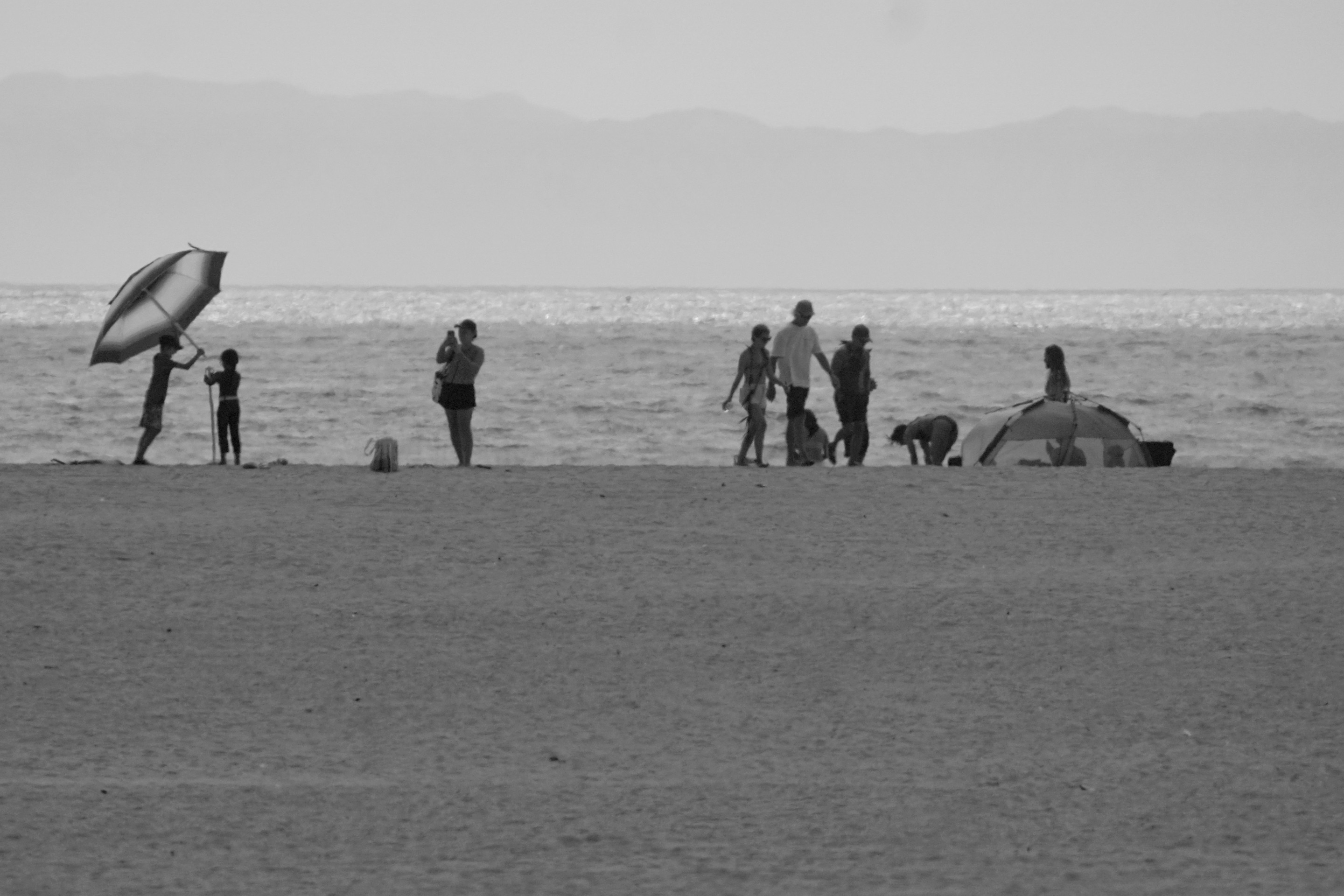 DSC07595.JPG