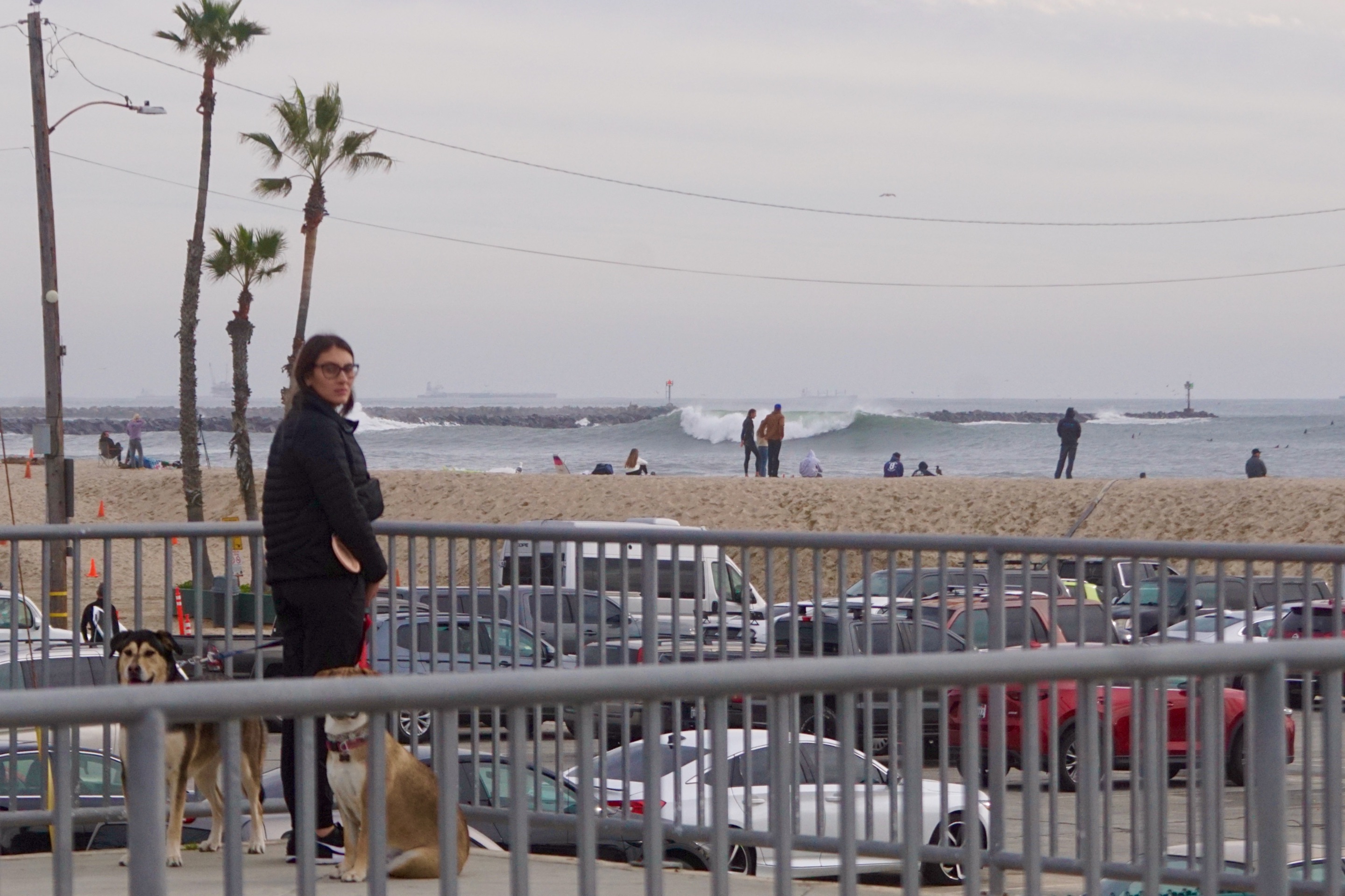 DSC03788.jpeg