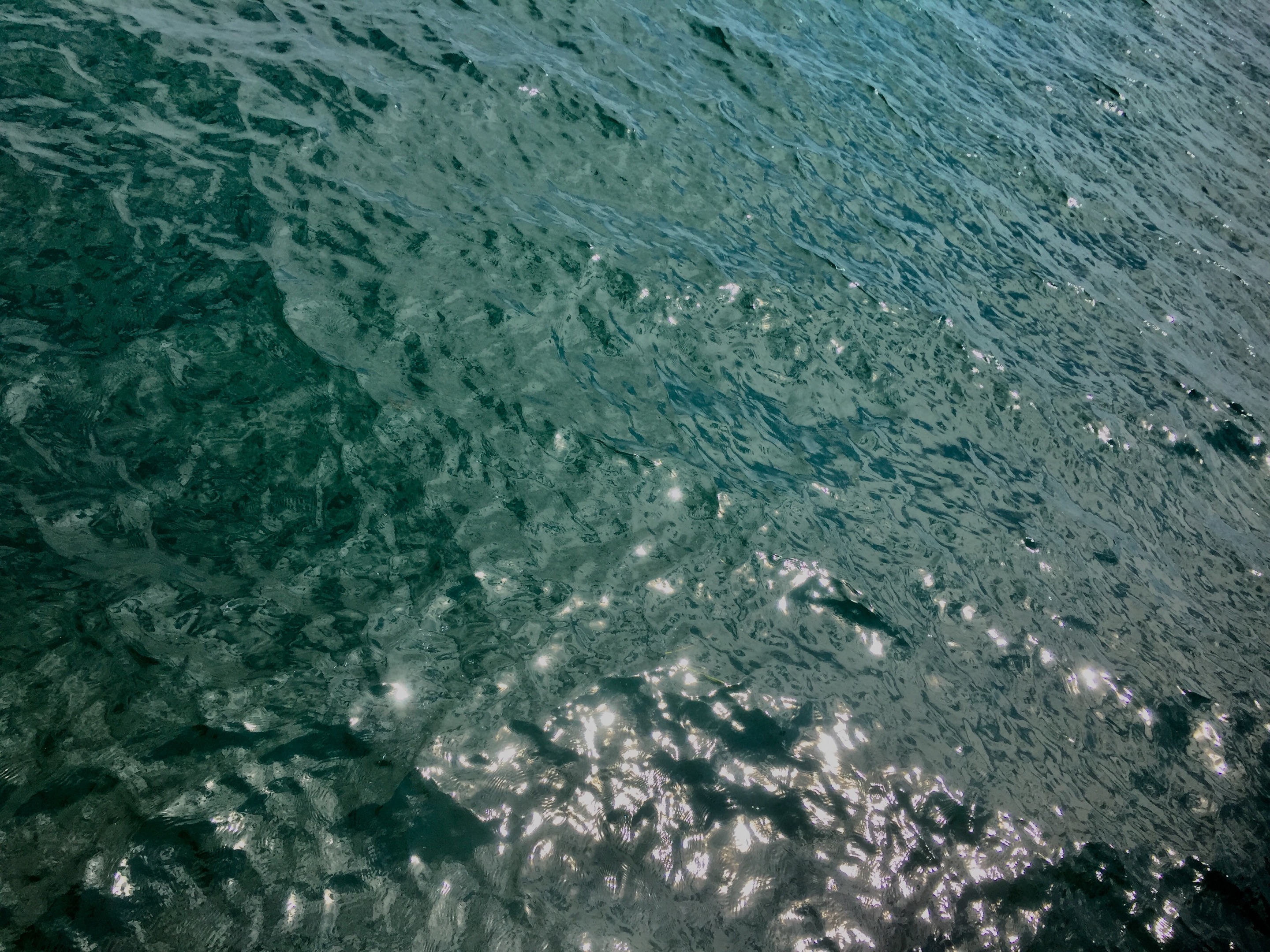 IMG_8670.jpg