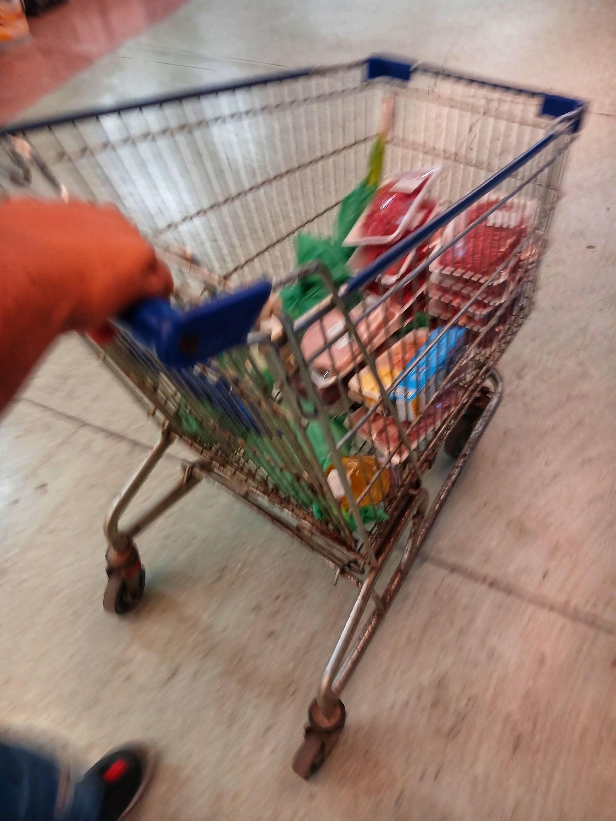 20250329_125456.jpg