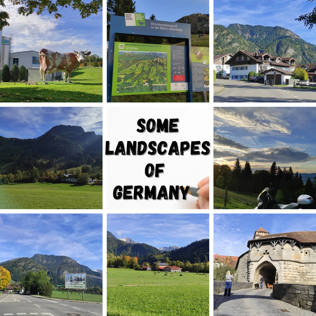 post de instagram dia del amigo collage blanco_20251014_172423_0000.png