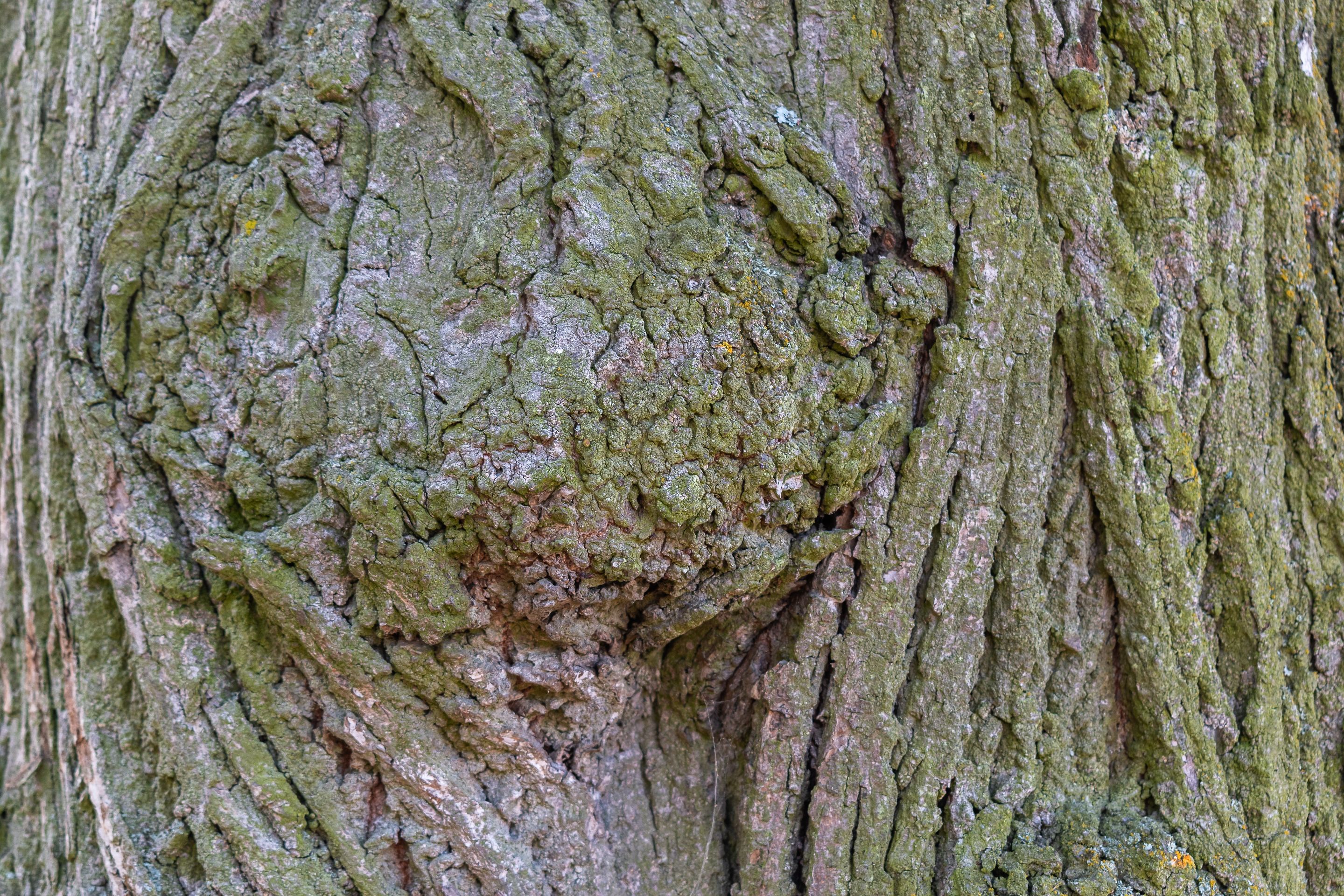 1-66e5818c66c3c__dsc0084_1.jpg