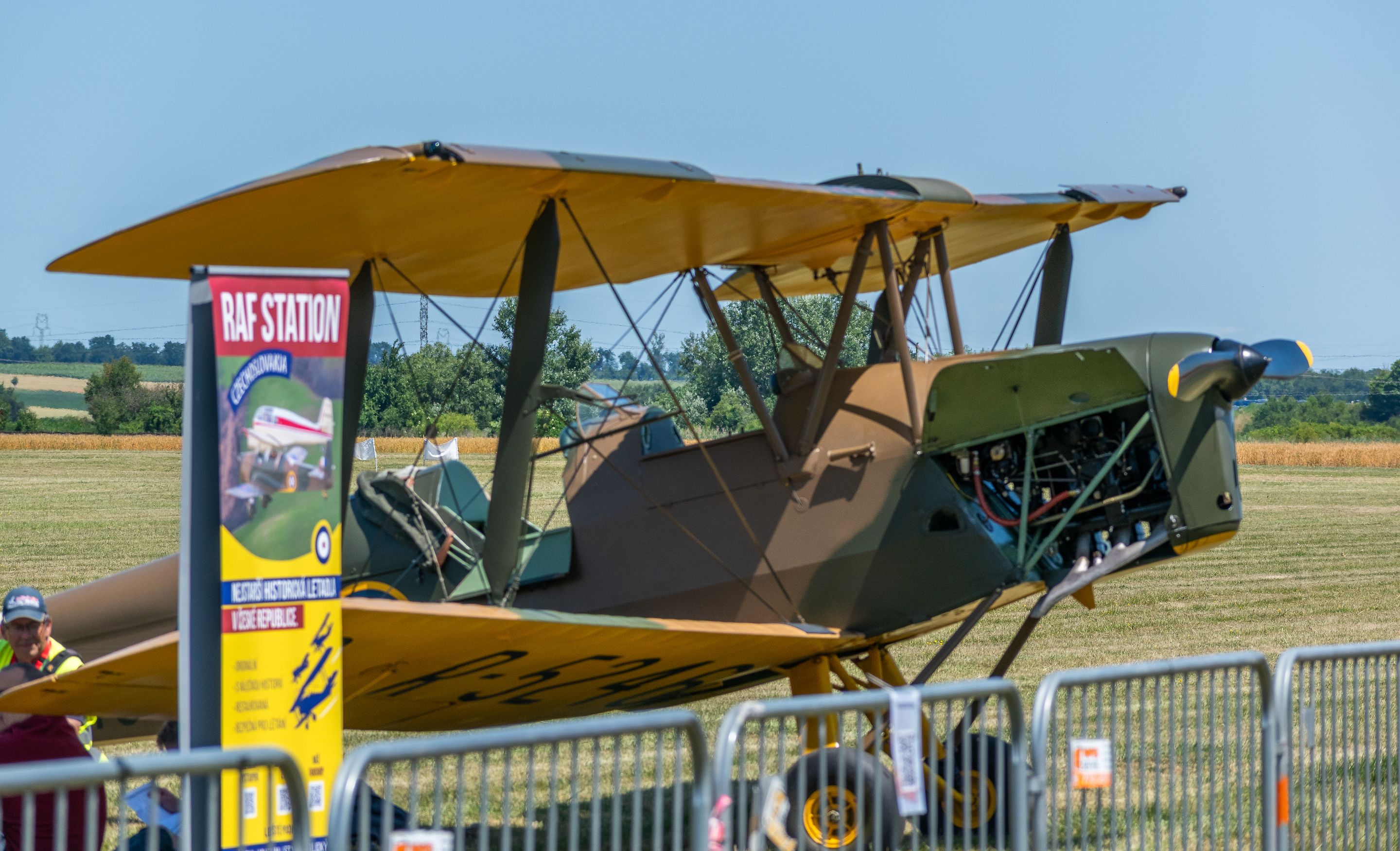 _DSC0790-1.jpg