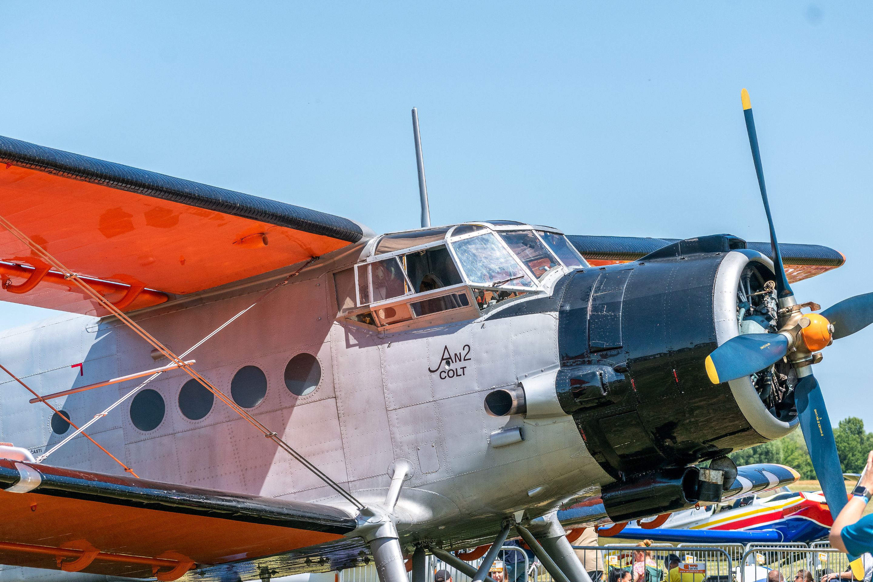 _DSC0808-1.jpg