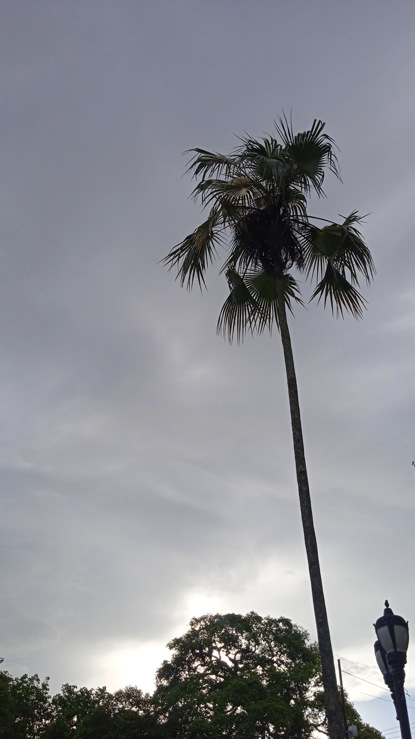 IMG_20250712_170936.jpg