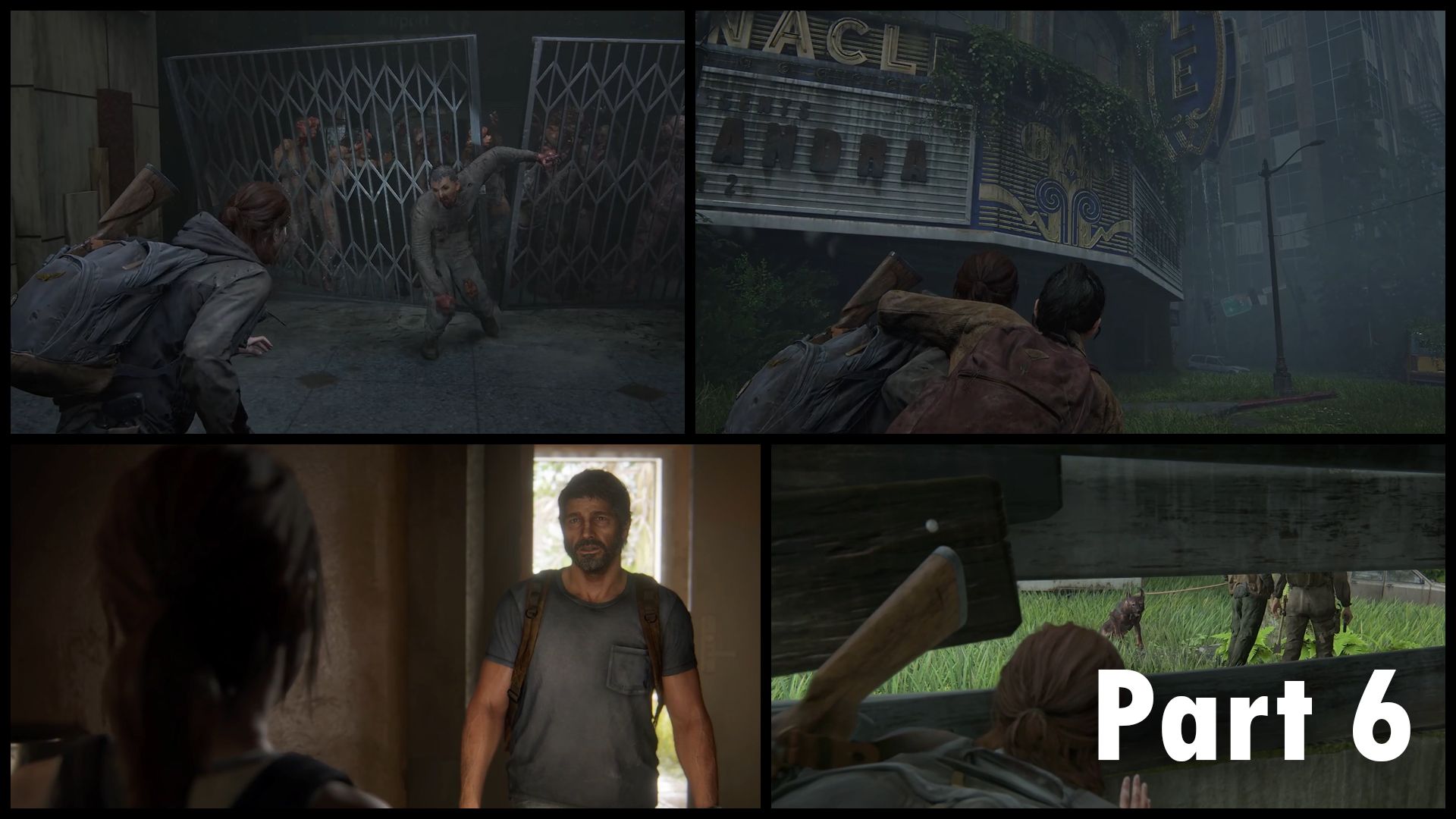 portada video.jpg