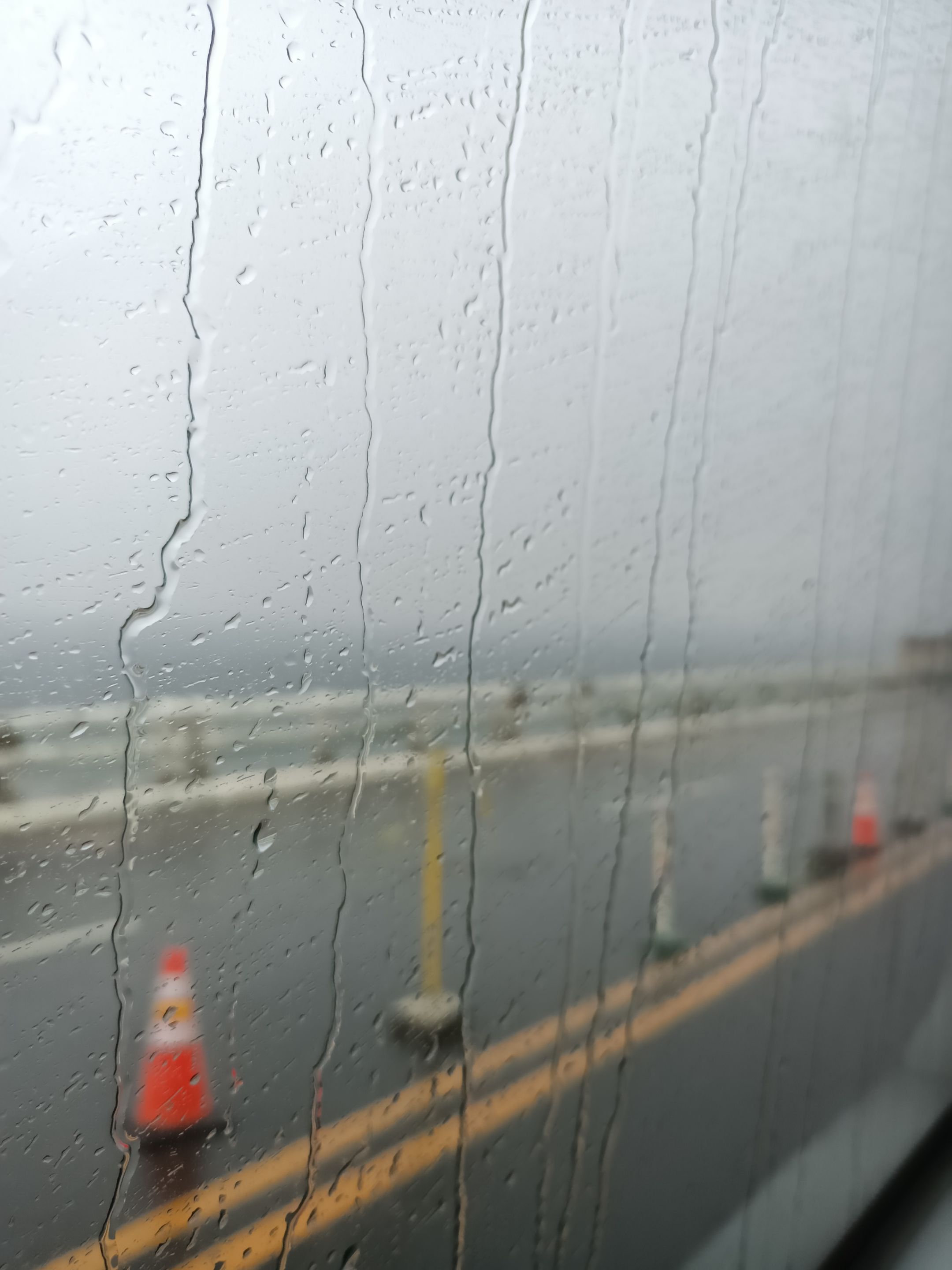 IMG20250607135237.jpg