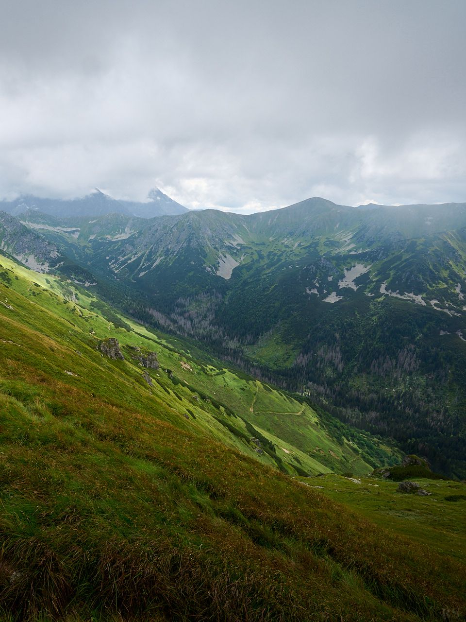 RSphotos-21-08-21-RSP_2113.jpg