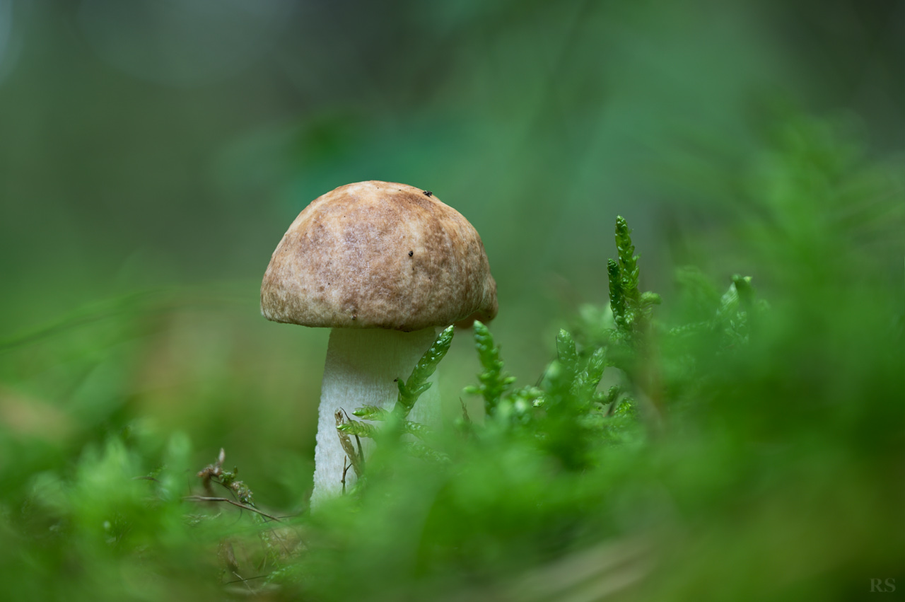 RSphotos-25-09-19-RSP_3367.jpg