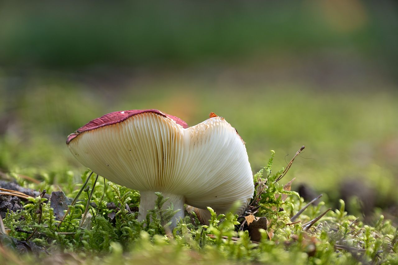 RSphotos-25-08-27-RSP_2914.jpg