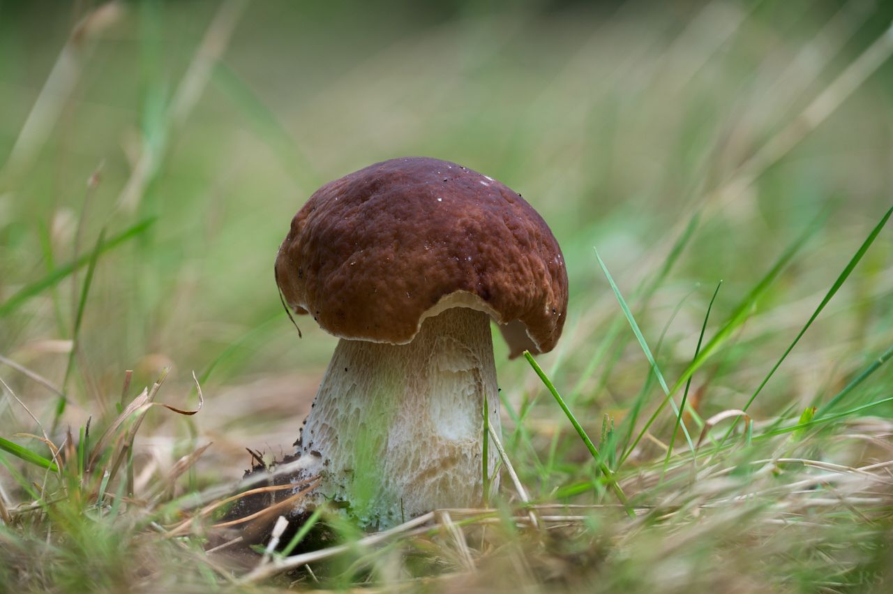 RSphotos-25-09-19-RSP_3700.jpg