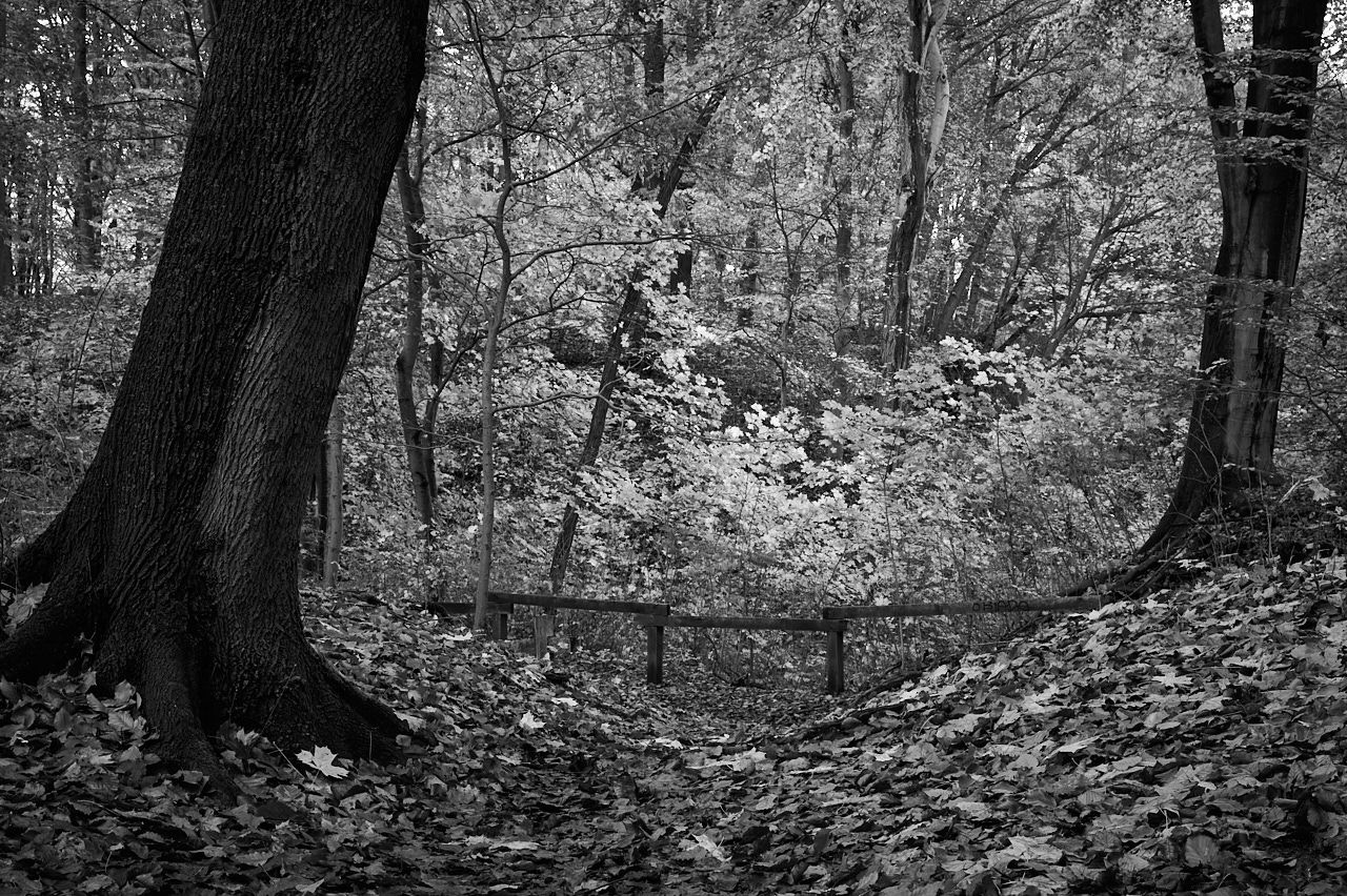 RSphotos-23-11-13-RSP_6895.jpg