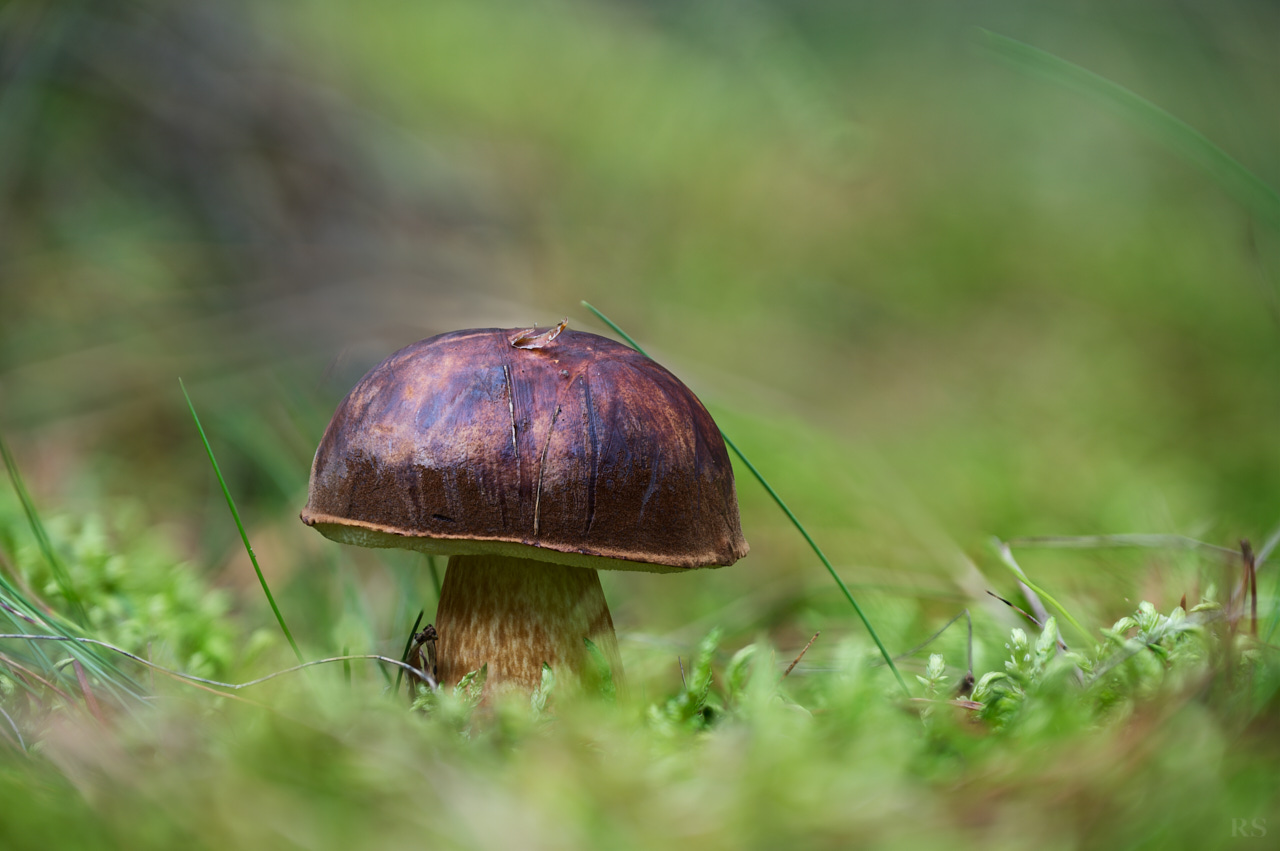 RSphotos-25-09-19-RSP_3843.jpg