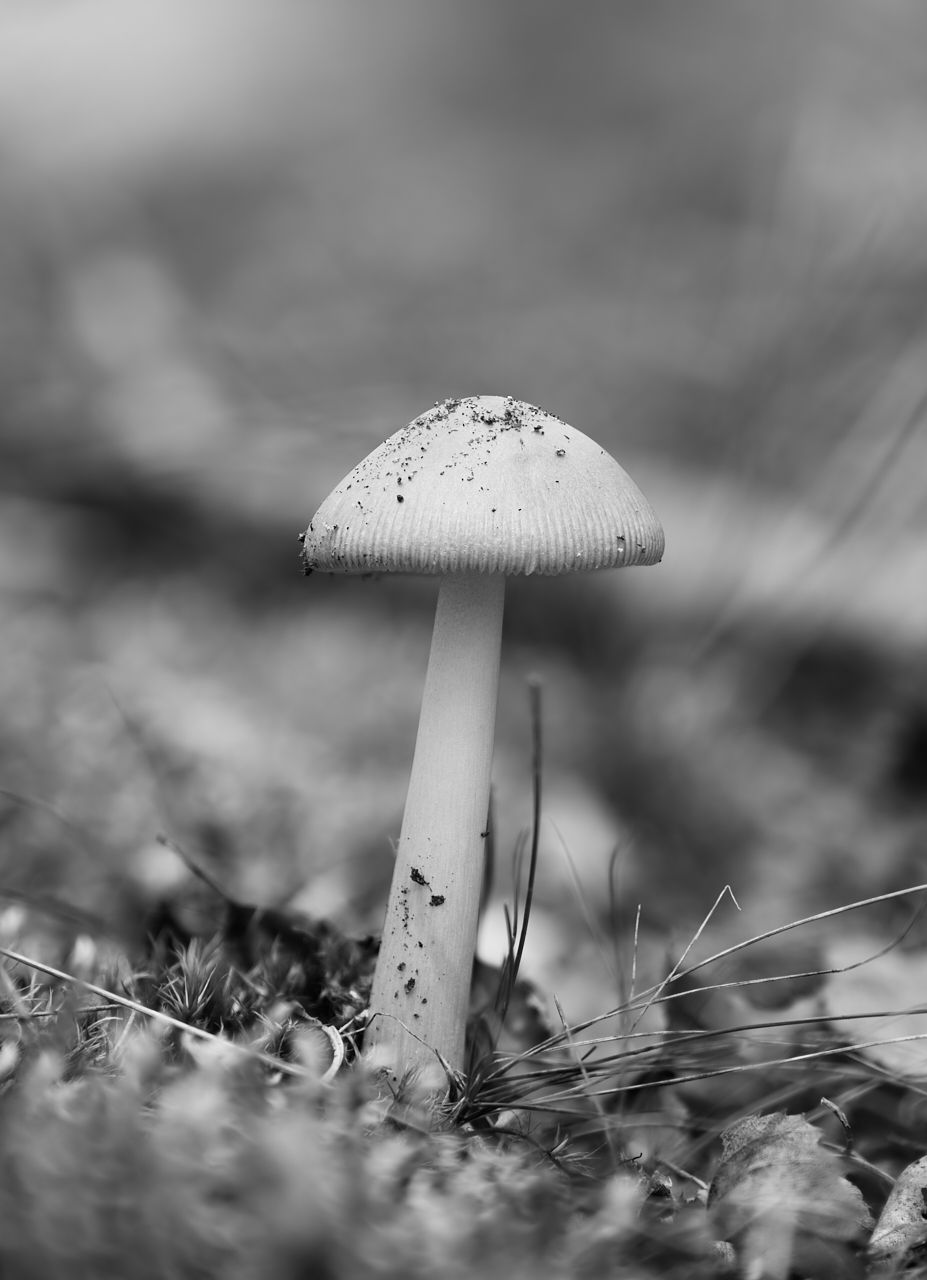 RSphotos-23-08-24-RSP_4982.jpg