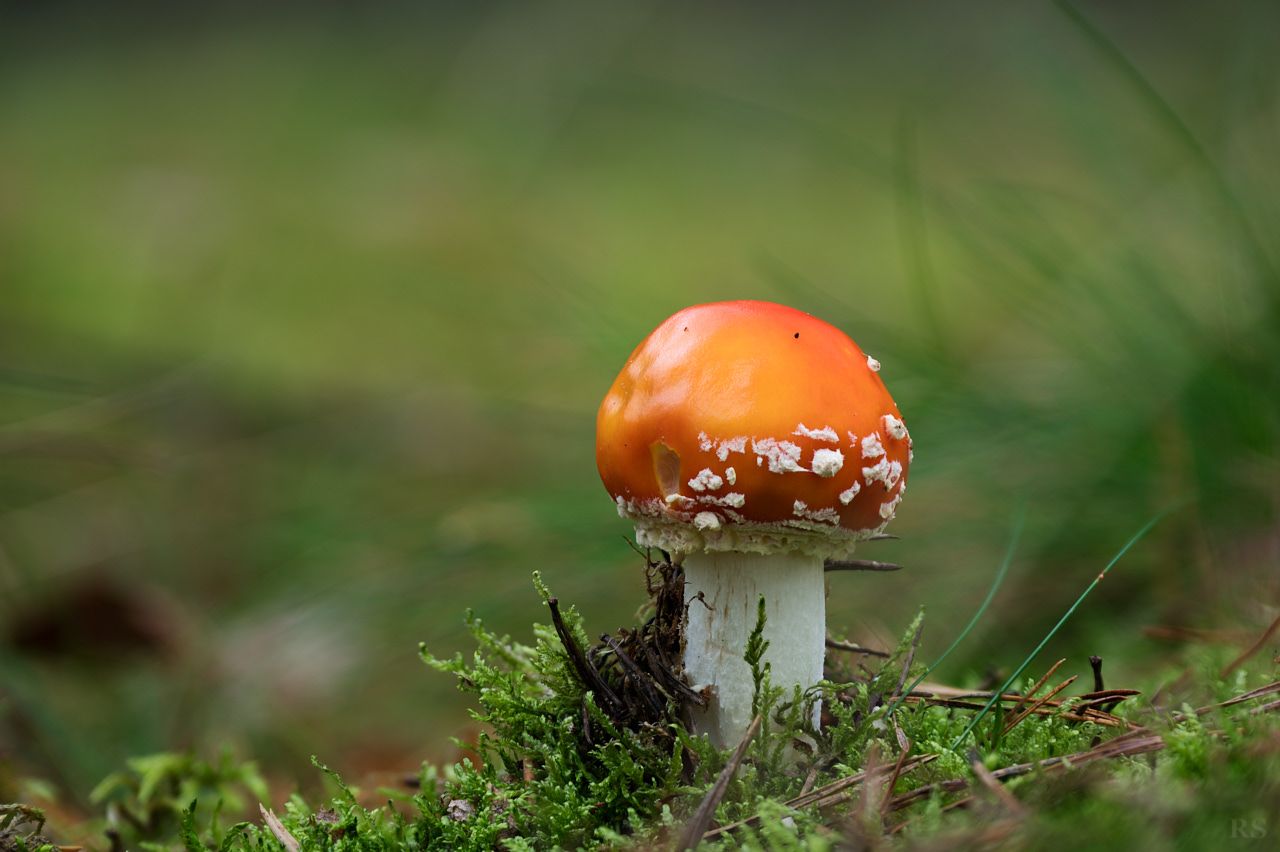 RSphotos-25-09-19-RSP_3893.jpg